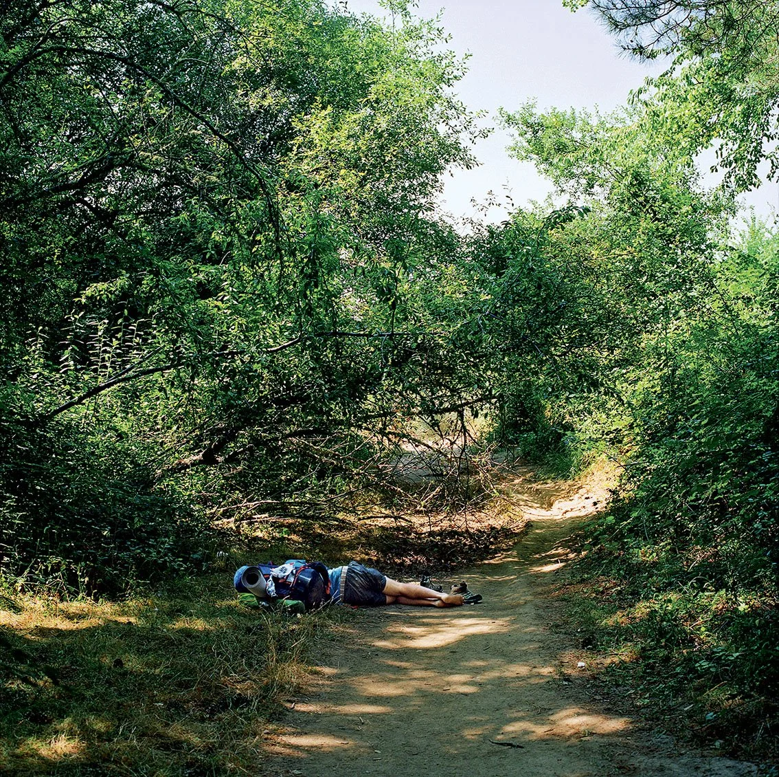 A person lying on a path through dense forest, carrying a backpack, apparently asleep or resting.