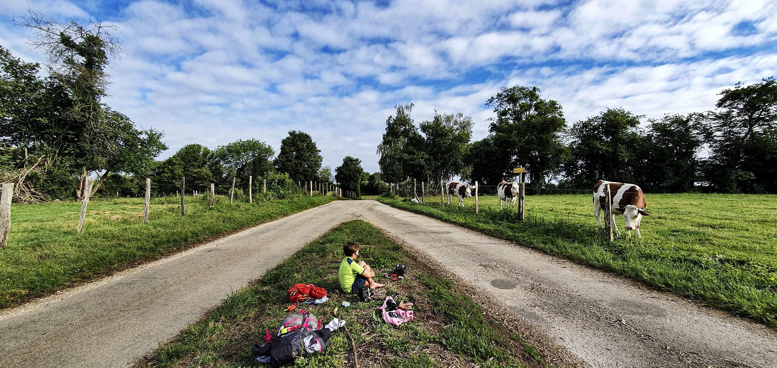 A child sitting on the side of a country road, surrounded by backpacks, with a field of cows on the other side of the fence and a partly cloudy sky.