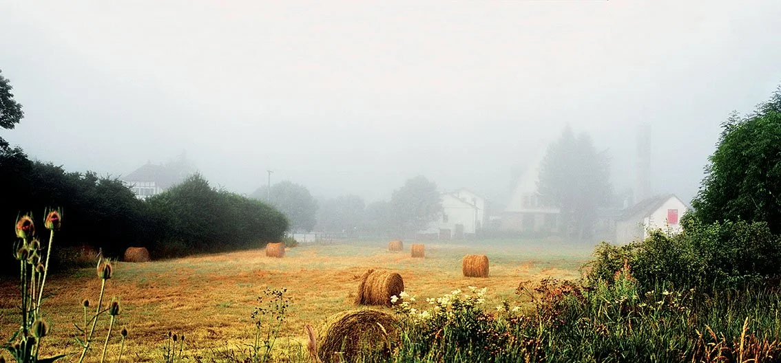 hayfield with bales of hay, morning mist, houses and trees in background