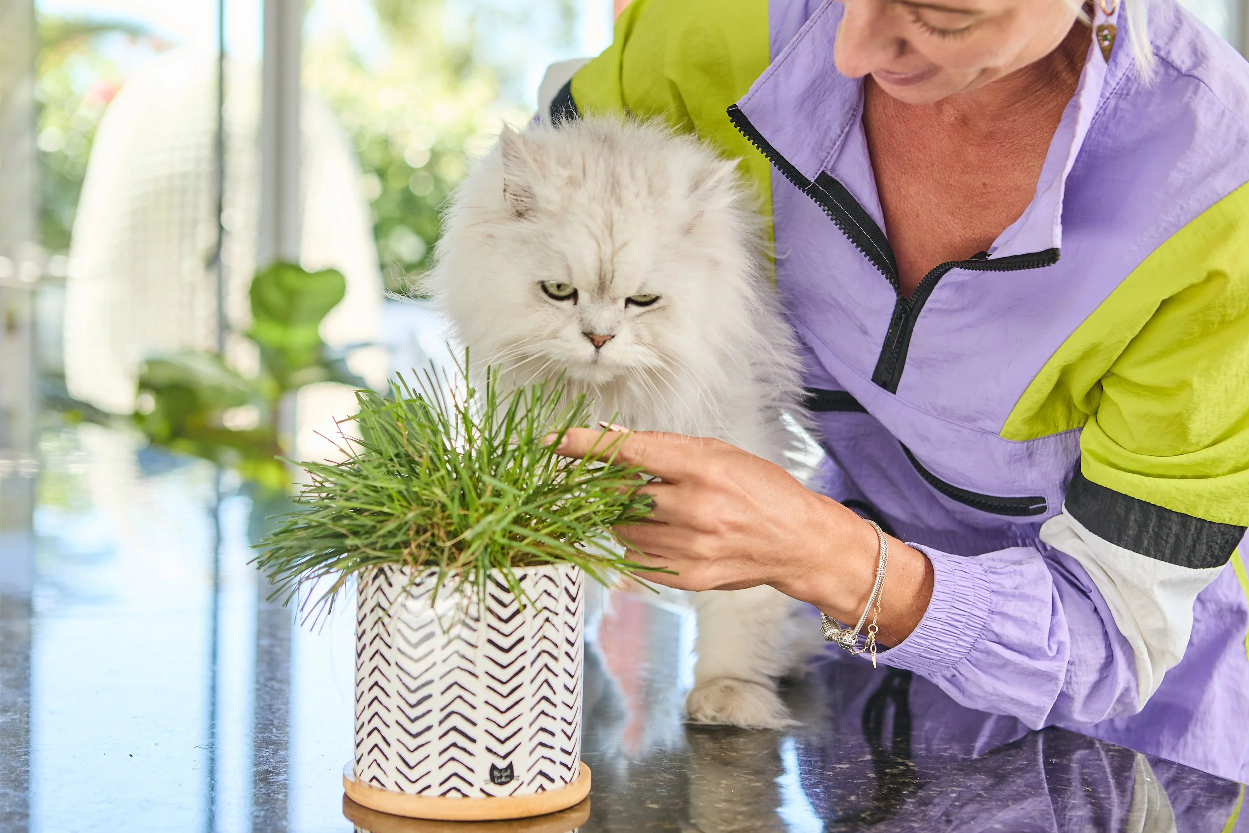 SellerX-08.12.25 390.jpg