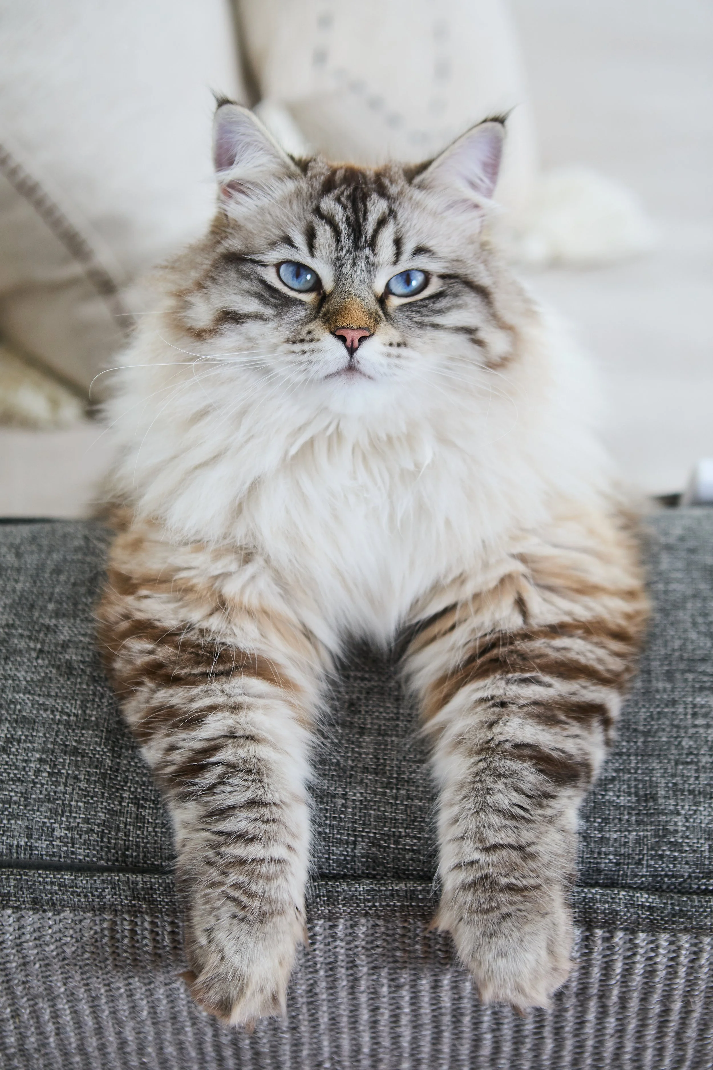 SellerX-09.12.25 166.jpg