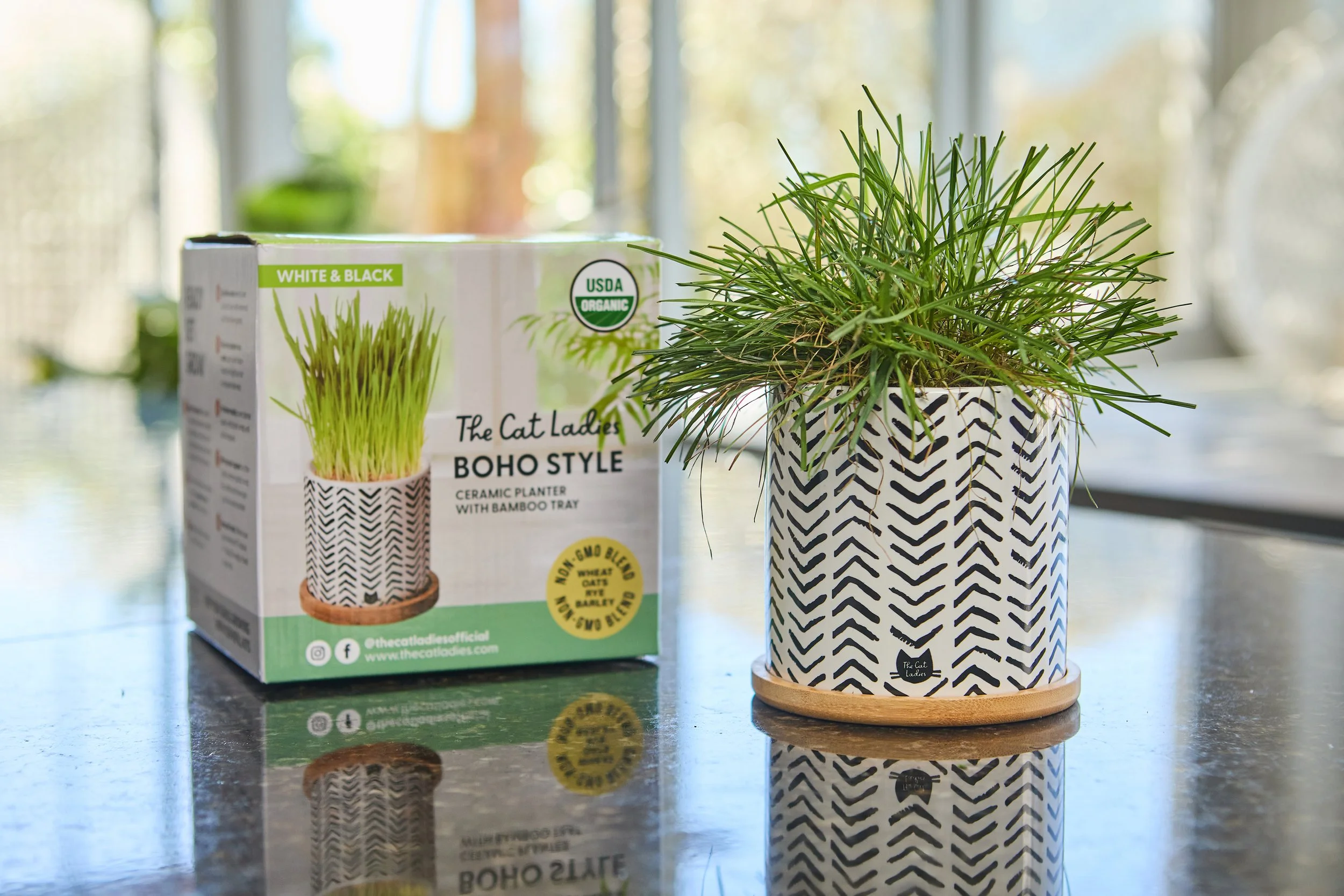 SellerX-08.12.25 377.jpg