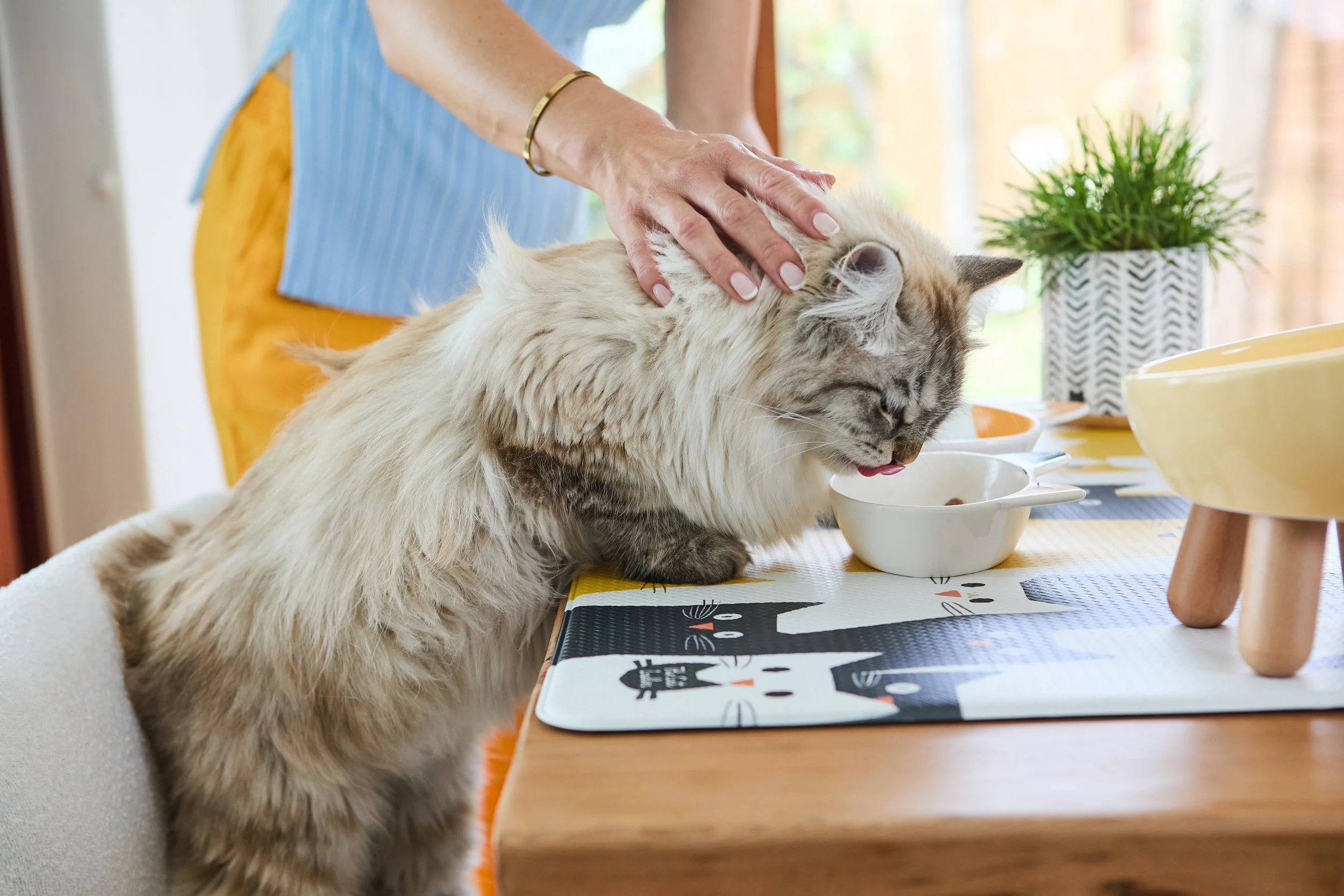 SellerX-09.12.25 213.jpg