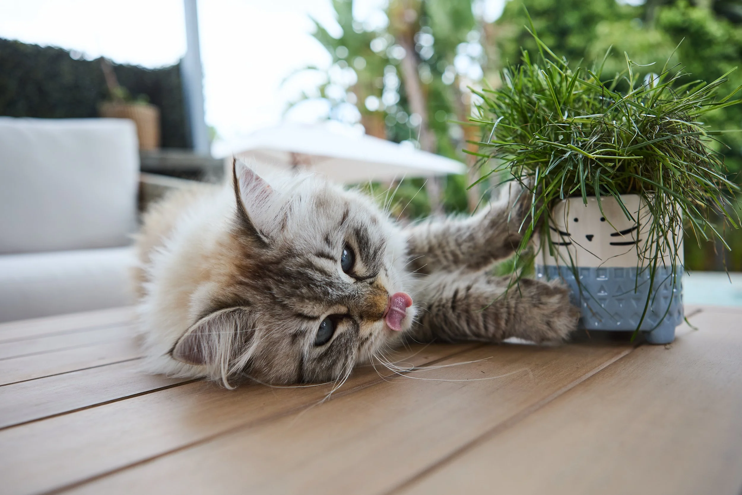 SellerX-09.12.25 240.jpg