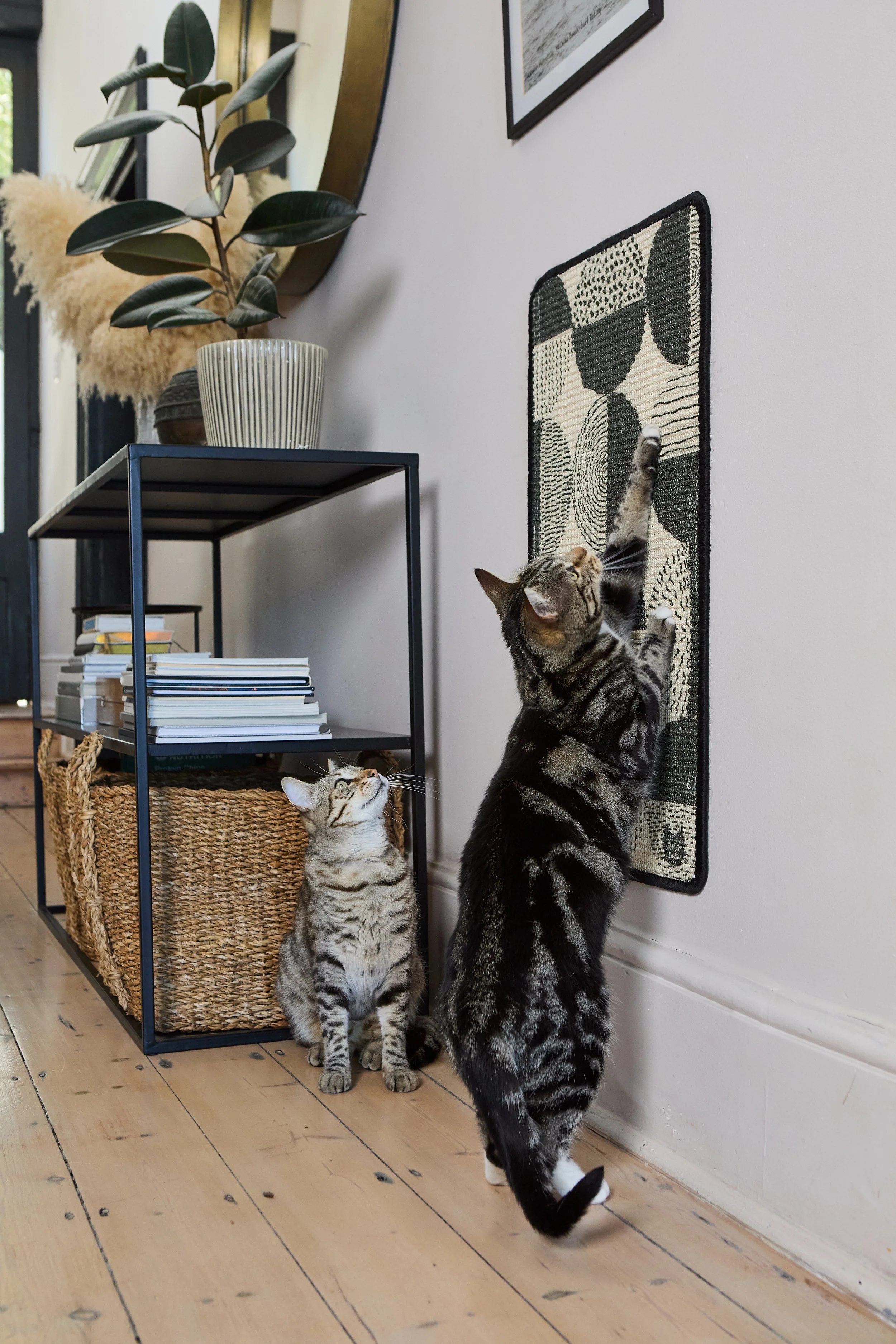 CatLadies_27.01.25 357.jpg