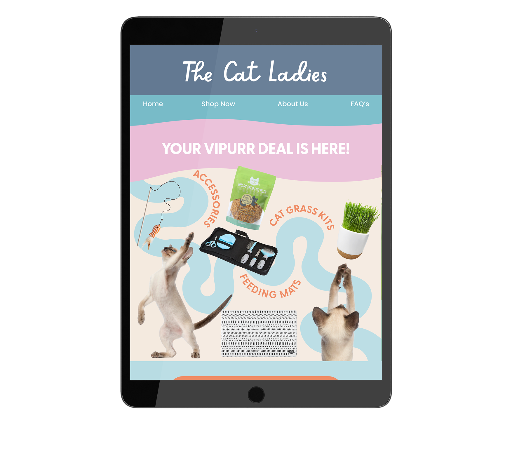 ipad 30 June 1.png (Copy)