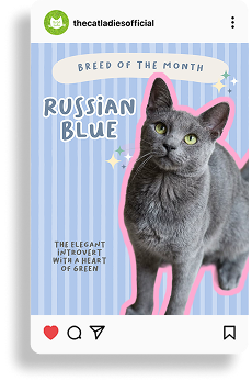 Group 56243.png (Copy)