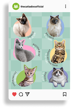 Group 56750.png (Copy)