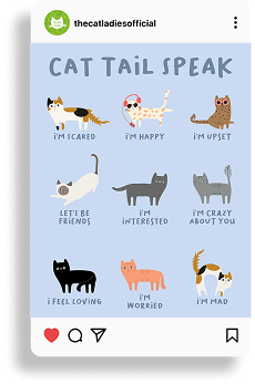 Group 56753.png (Copy)