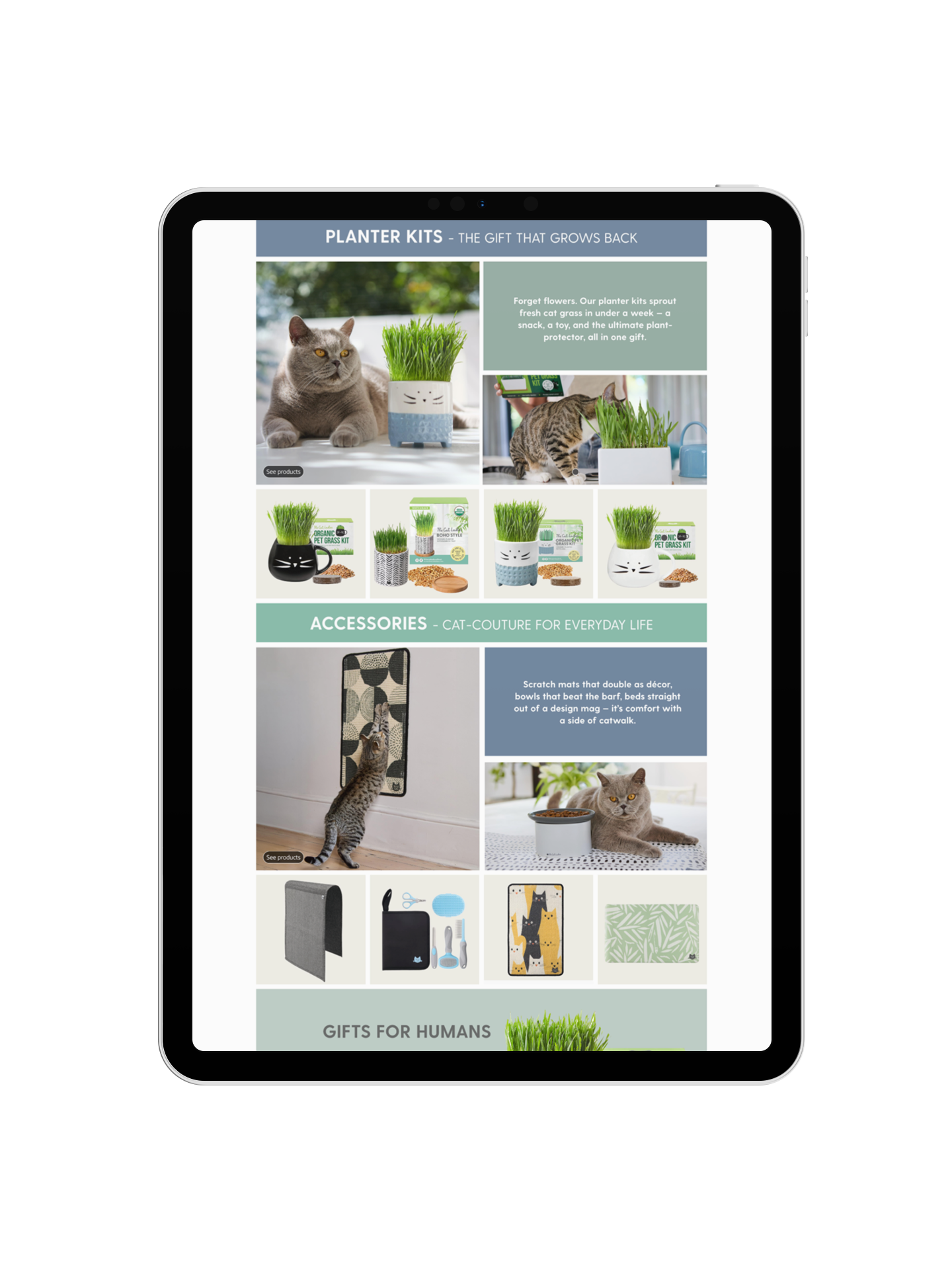 ipad-pro-mockup-in-portrait-position-23622 (8).png (Copy)