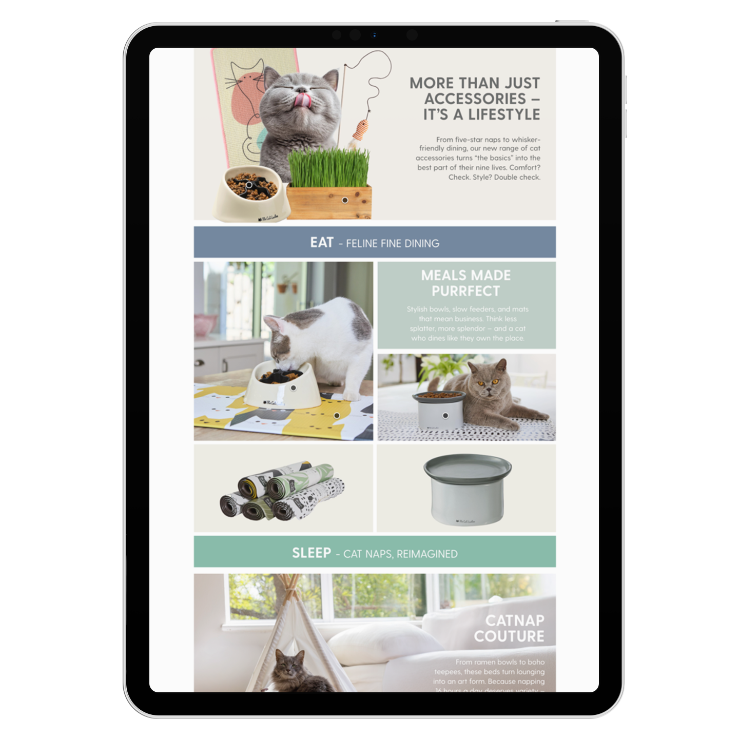 ipad-pro-mockup-in-portrait-position-23622 (5).png