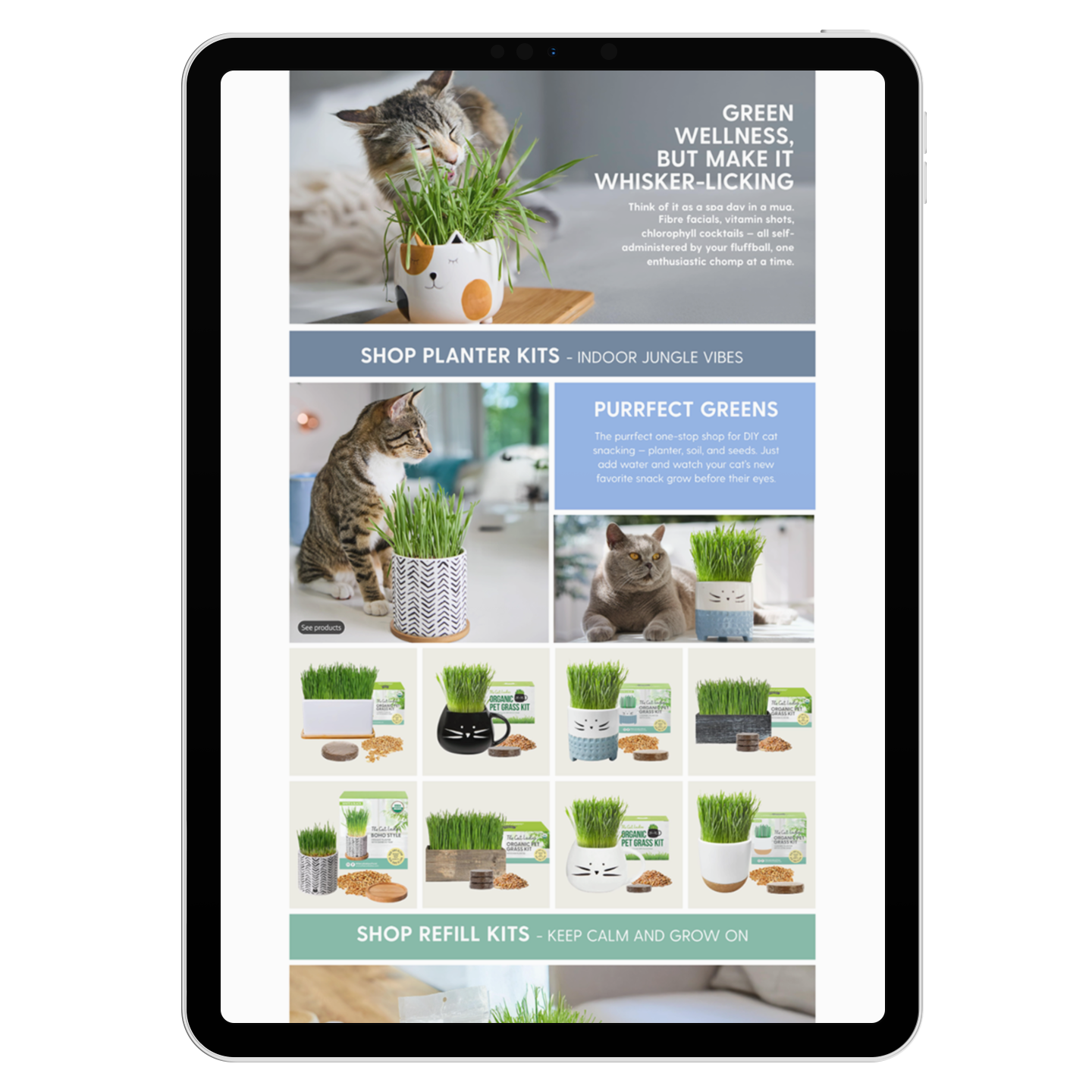ipad-pro-mockup-in-portrait-position-23622 (6).png