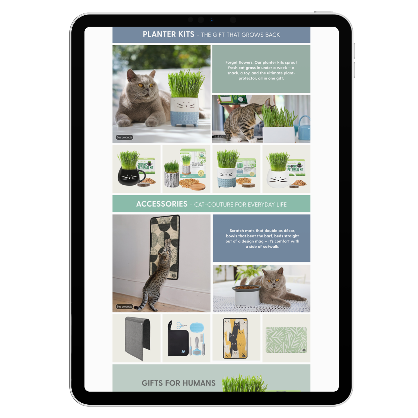 ipad-pro-mockup-in-portrait-position-23622 (8).png