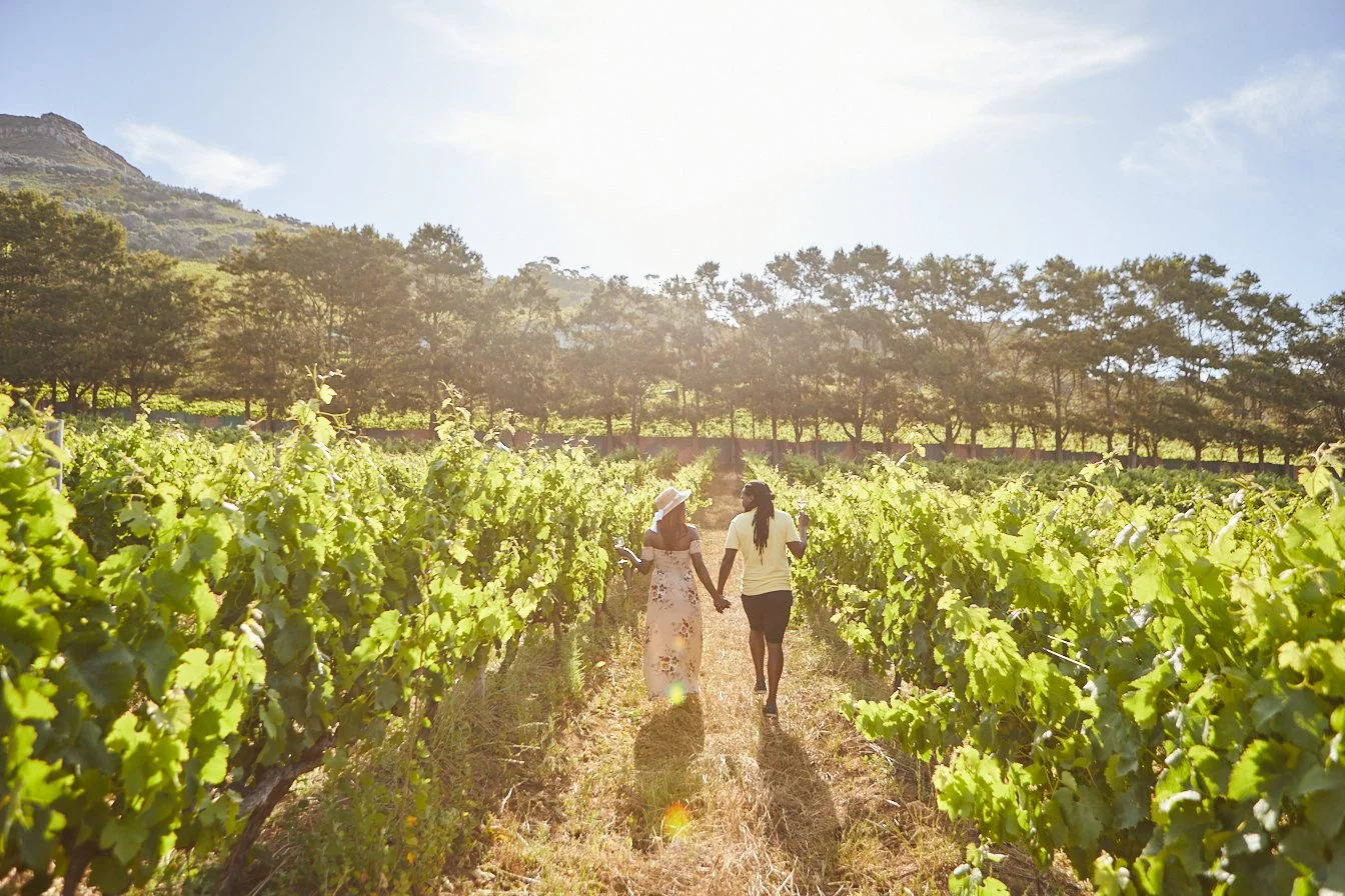 Constantia Glen 