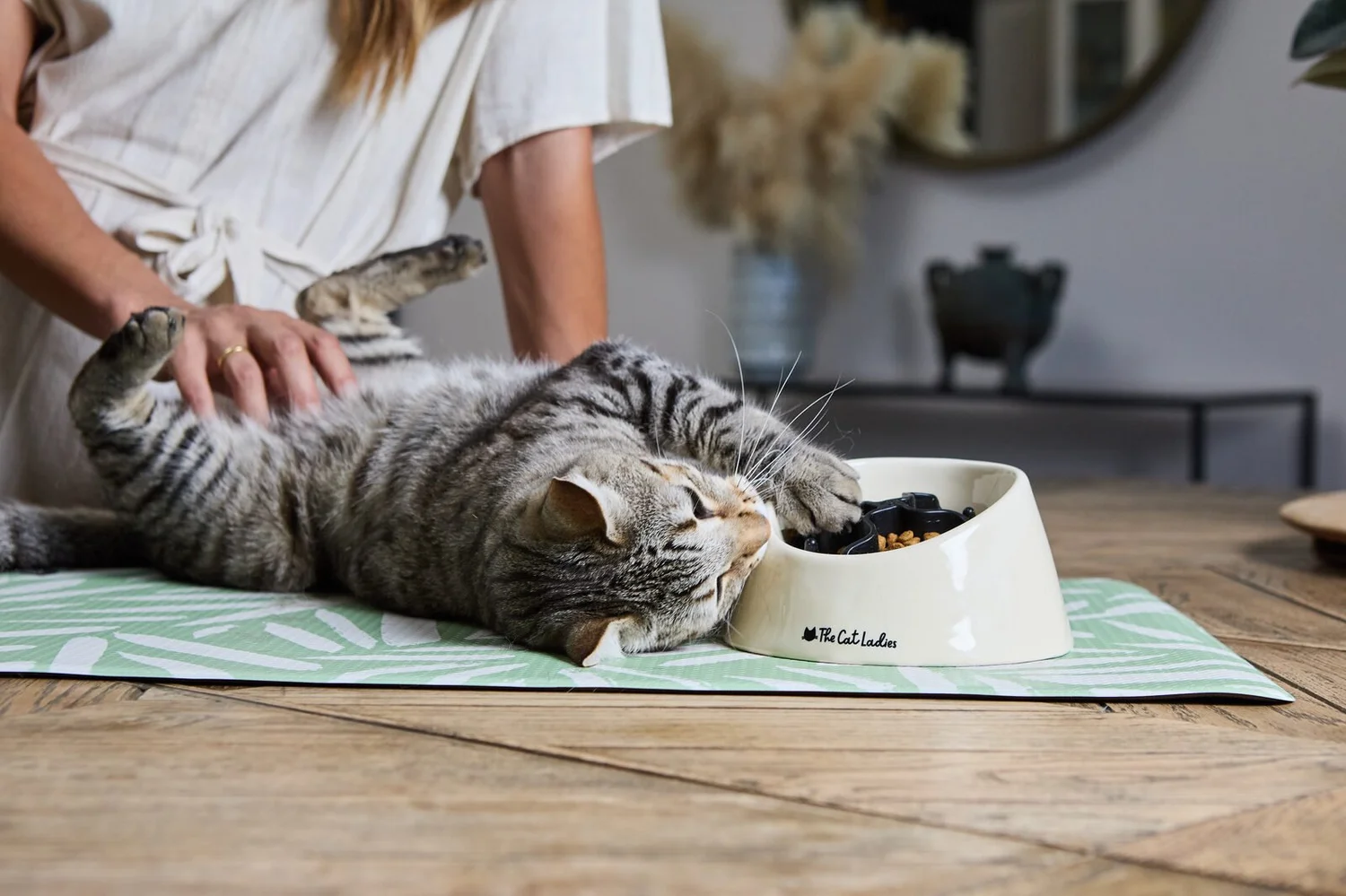 The Cat Ladies content production