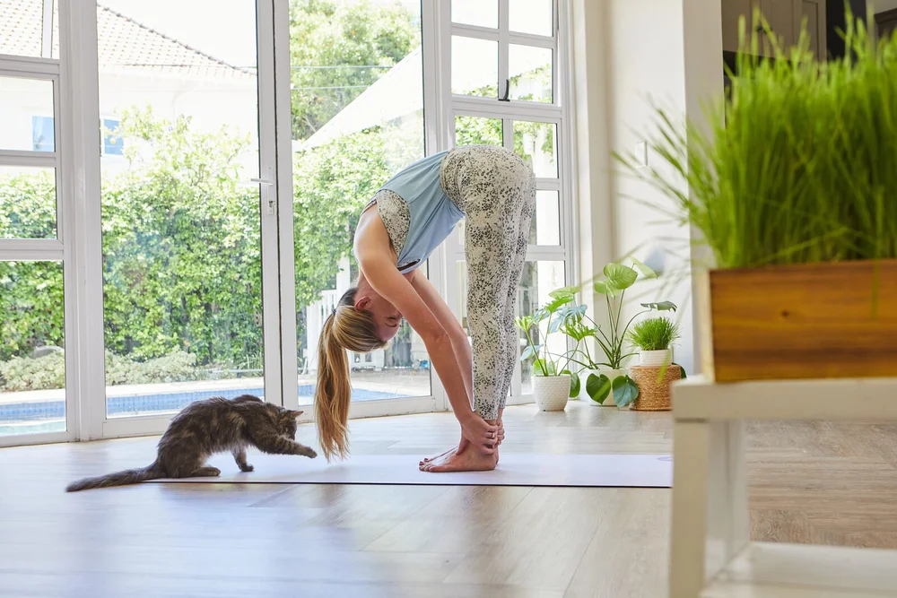 The Cat Ladies lifestyle