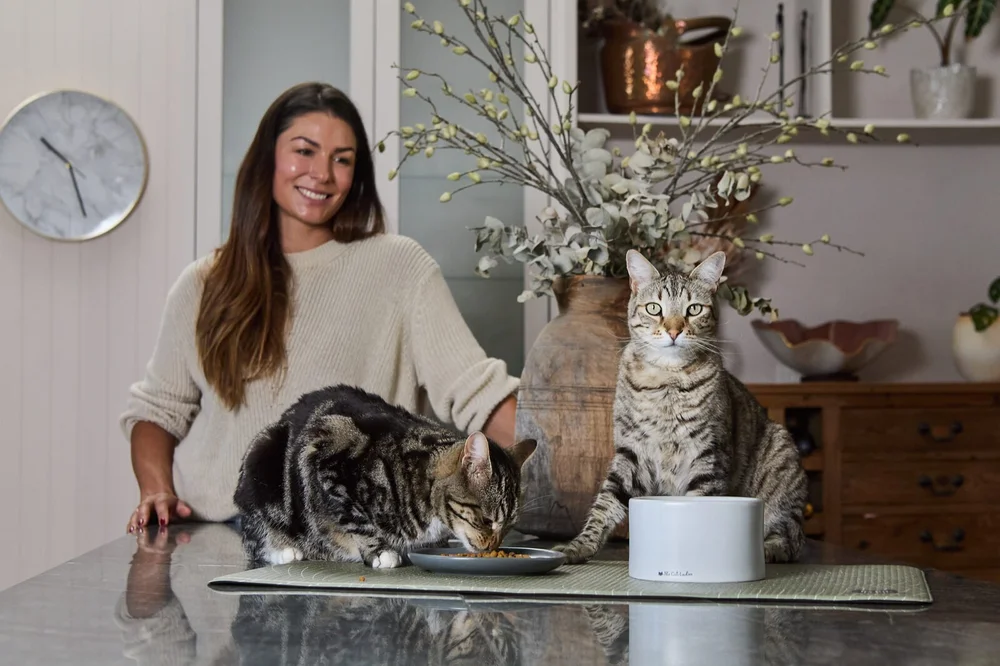 The Cat Ladies lifestyle