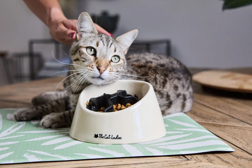 The Cat Ladies product