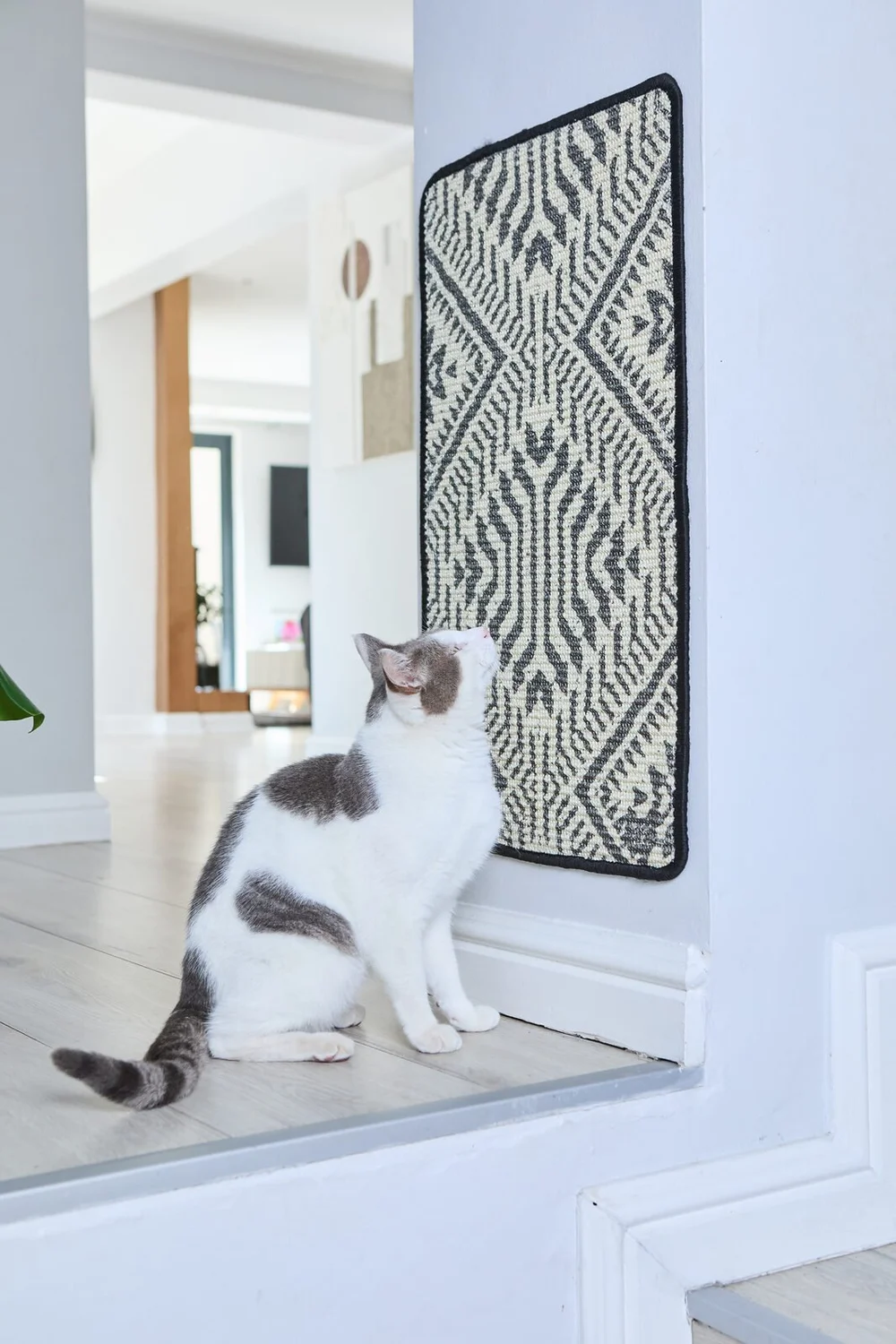The Cat Ladies product