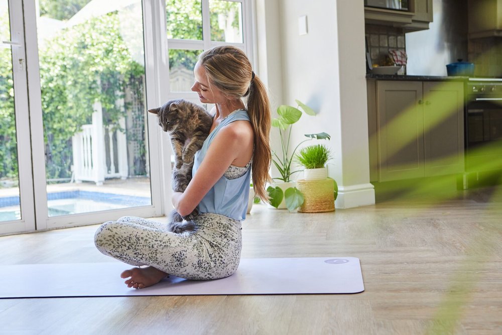 The Cat Ladies lifestyle