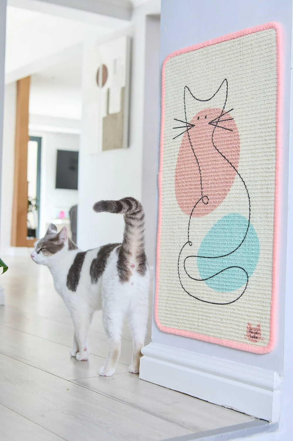 The Cat Ladies lifestyle