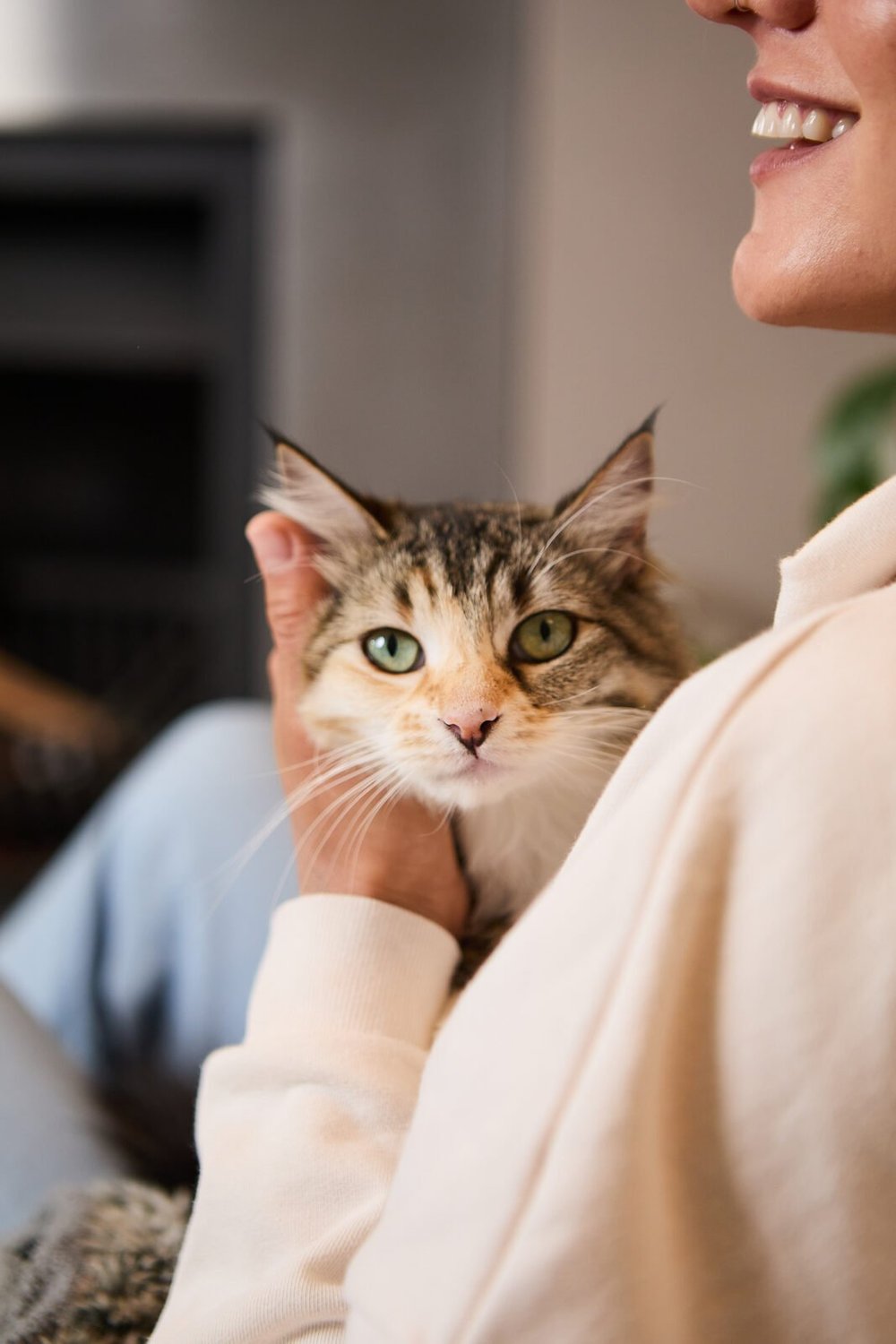 The Cat Ladies lifestyle