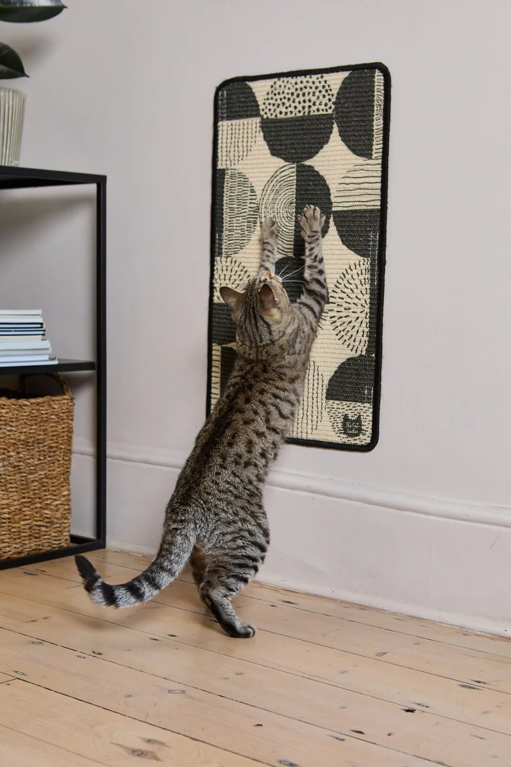 The Cat Ladies lifestyle