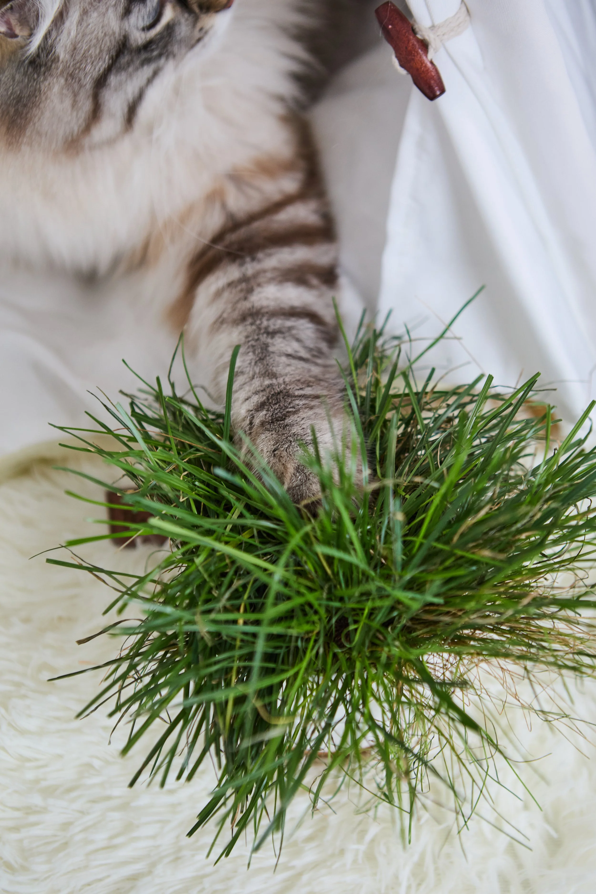 SellerX-09.12.25 145.jpg