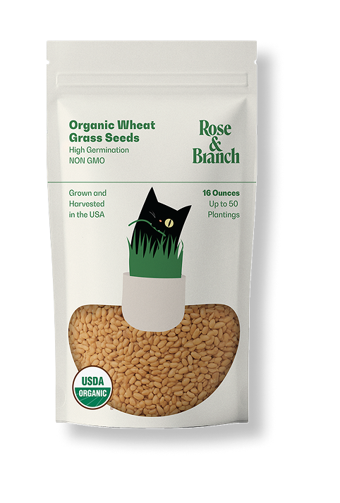 Cat Seed Pouch 16oz - Front 1.png