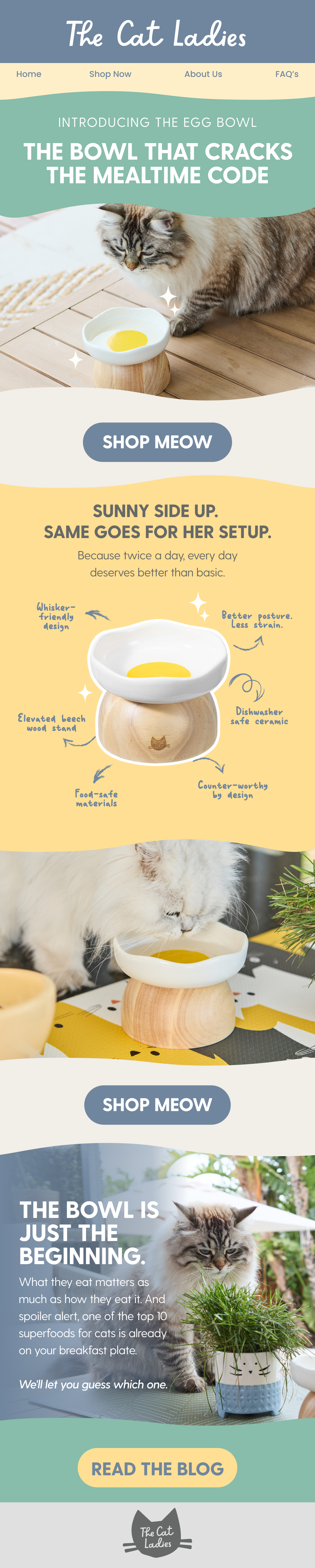 The Cat Ladies CRM mailer