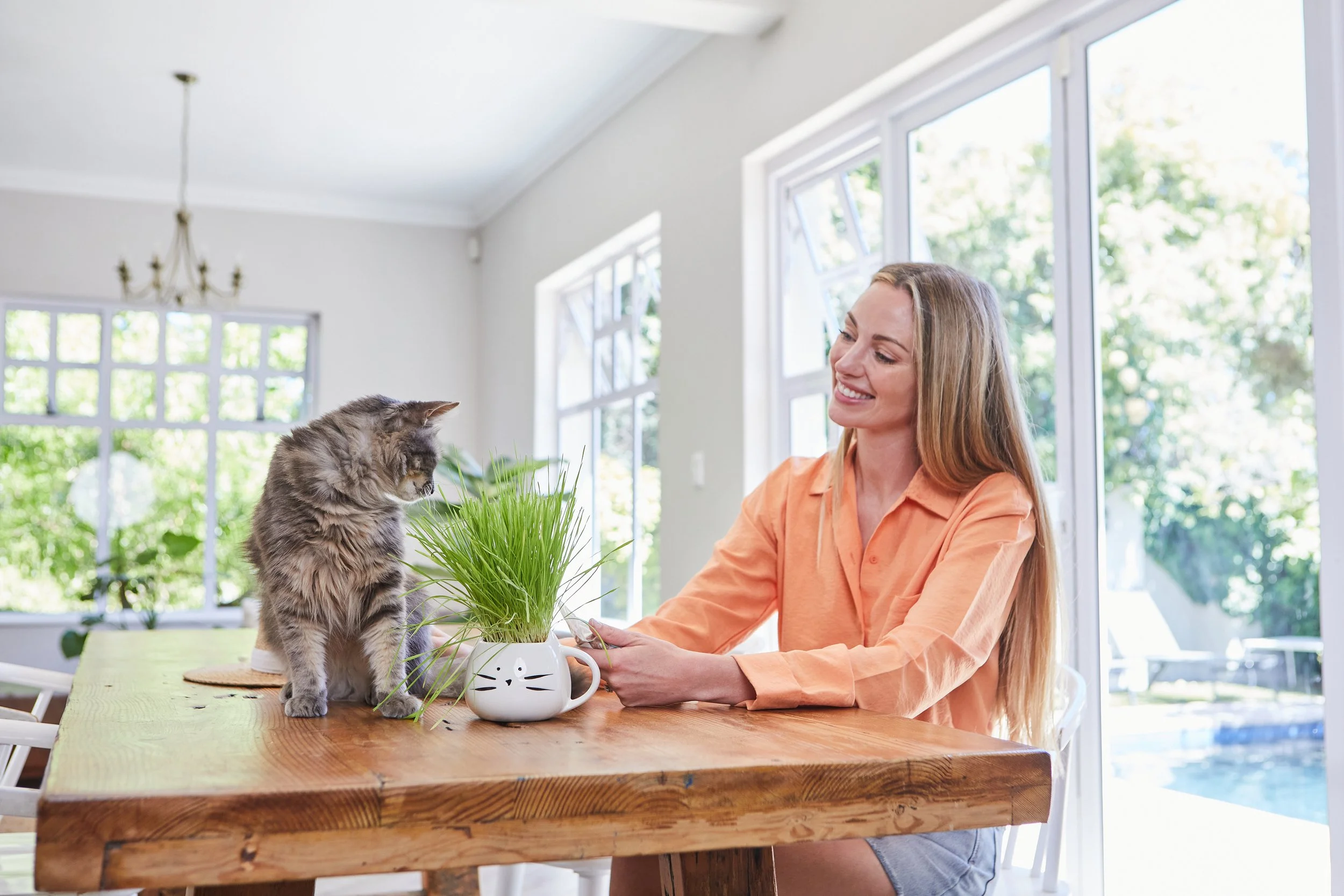 TheCatLadies 144.jpg