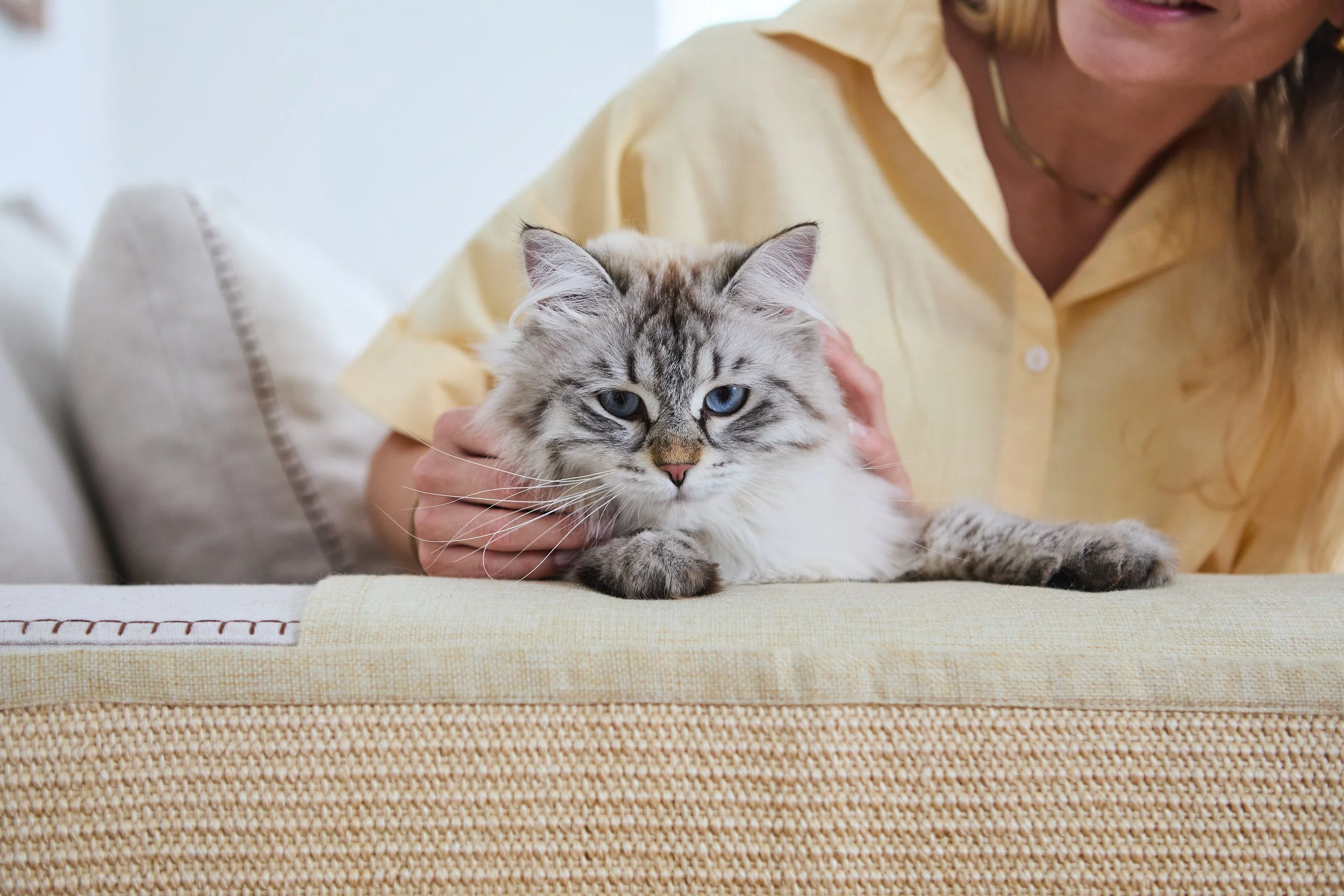 SellerX-09.12.25 16.jpg