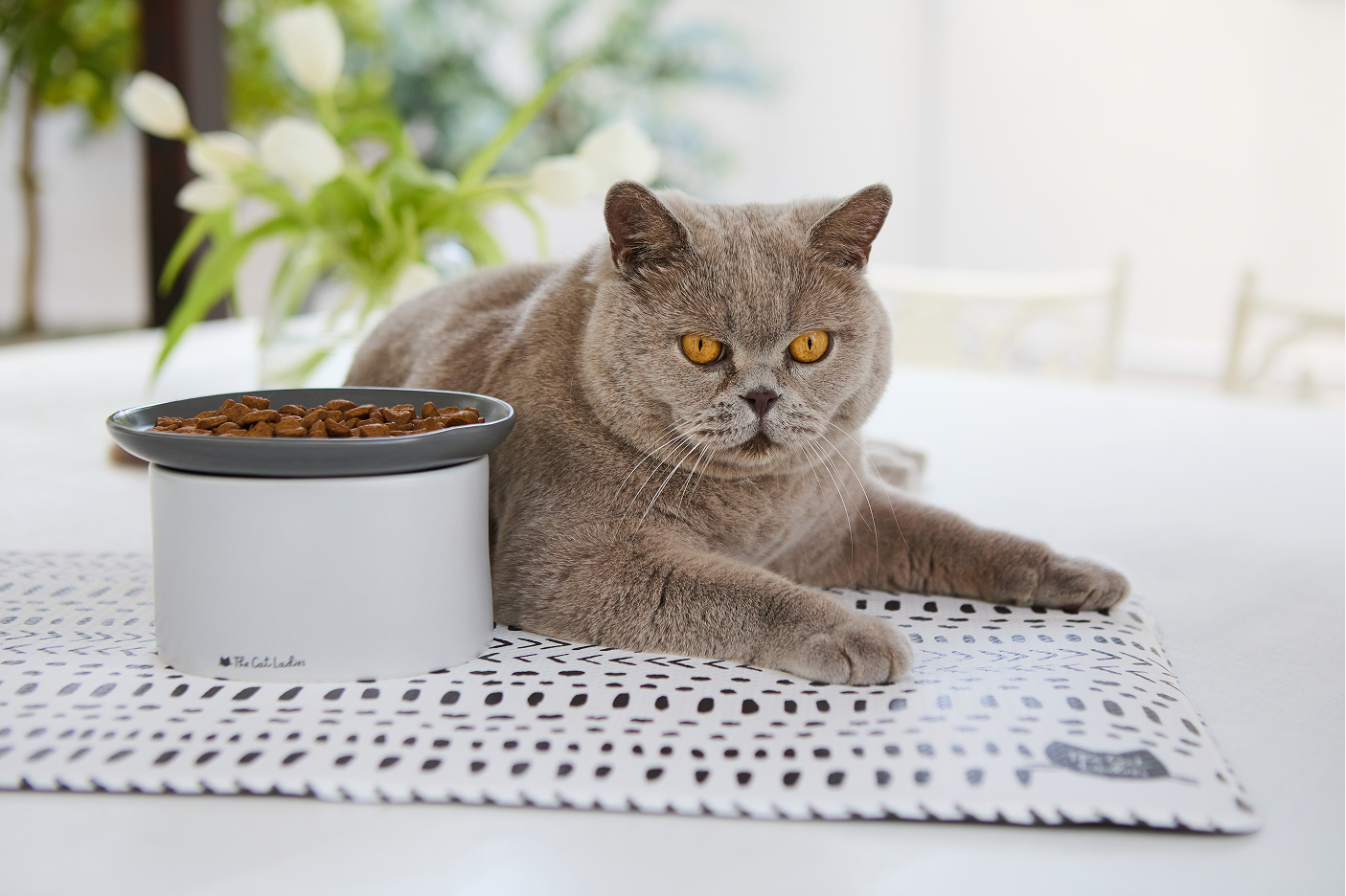 The Cat Ladies lifestyle