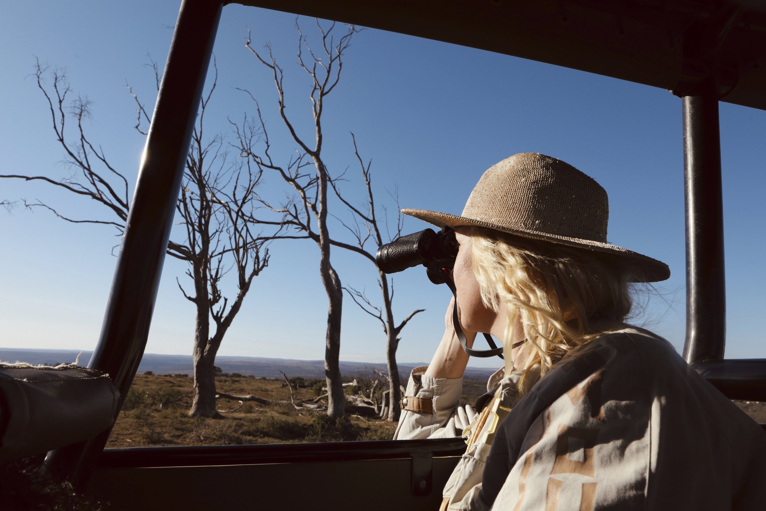 RCC-Safari 932.jpg