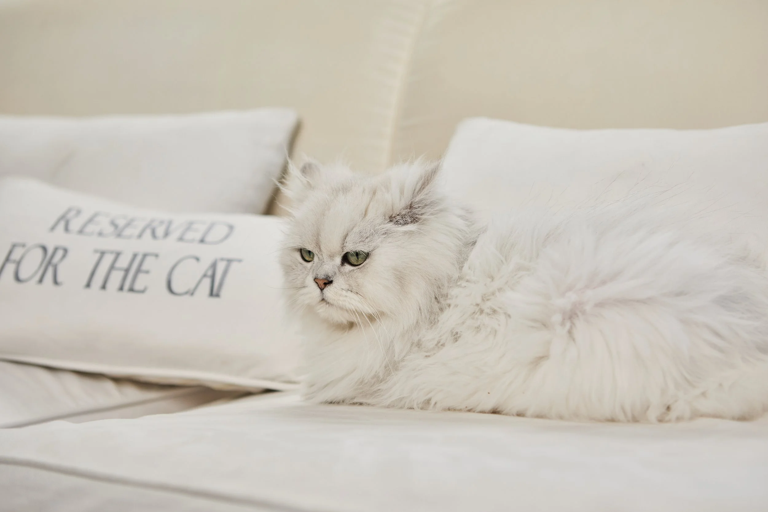 SellerX-08.12.25 524.jpg