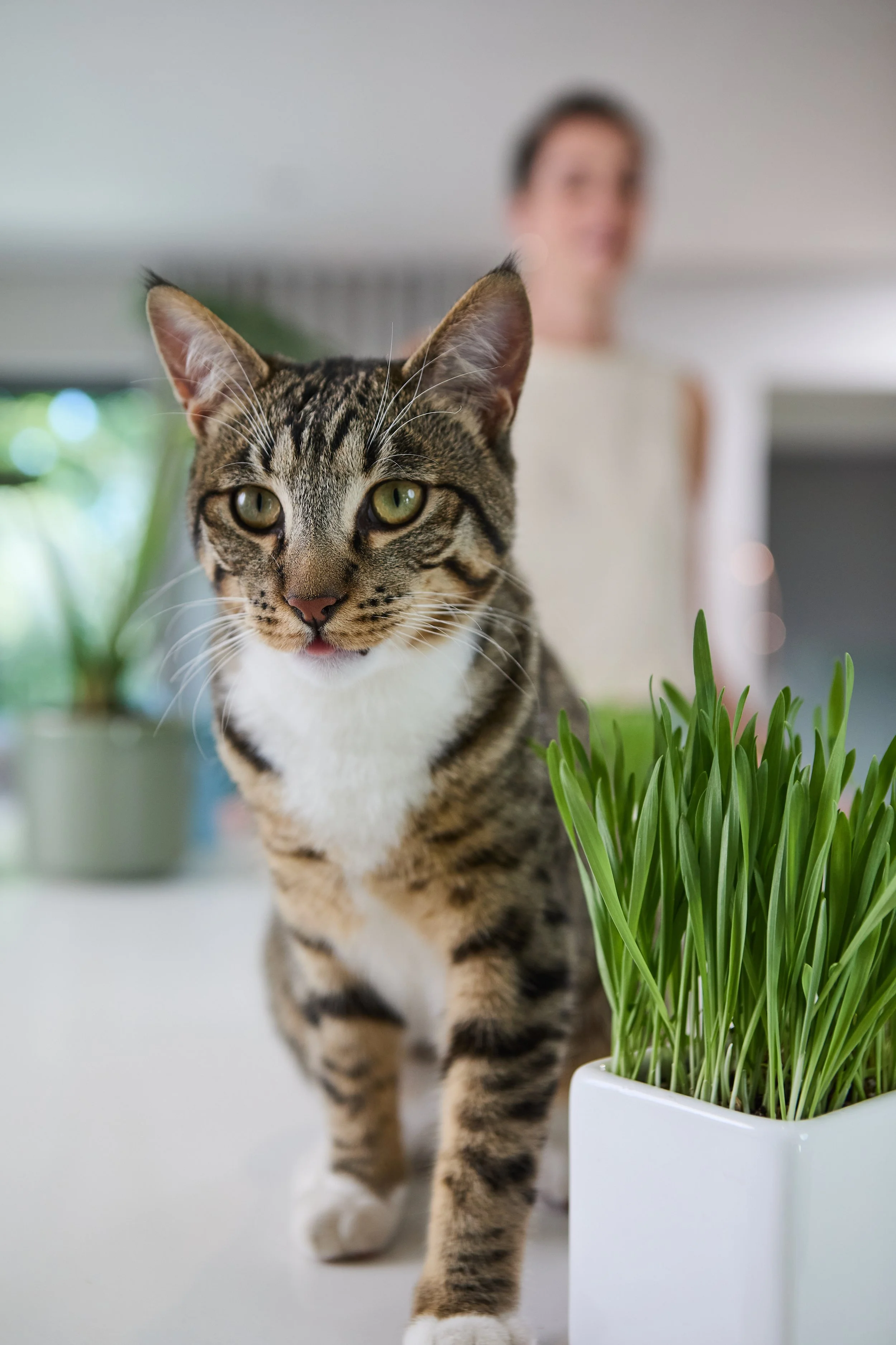 sellerX-day4 464.jpg