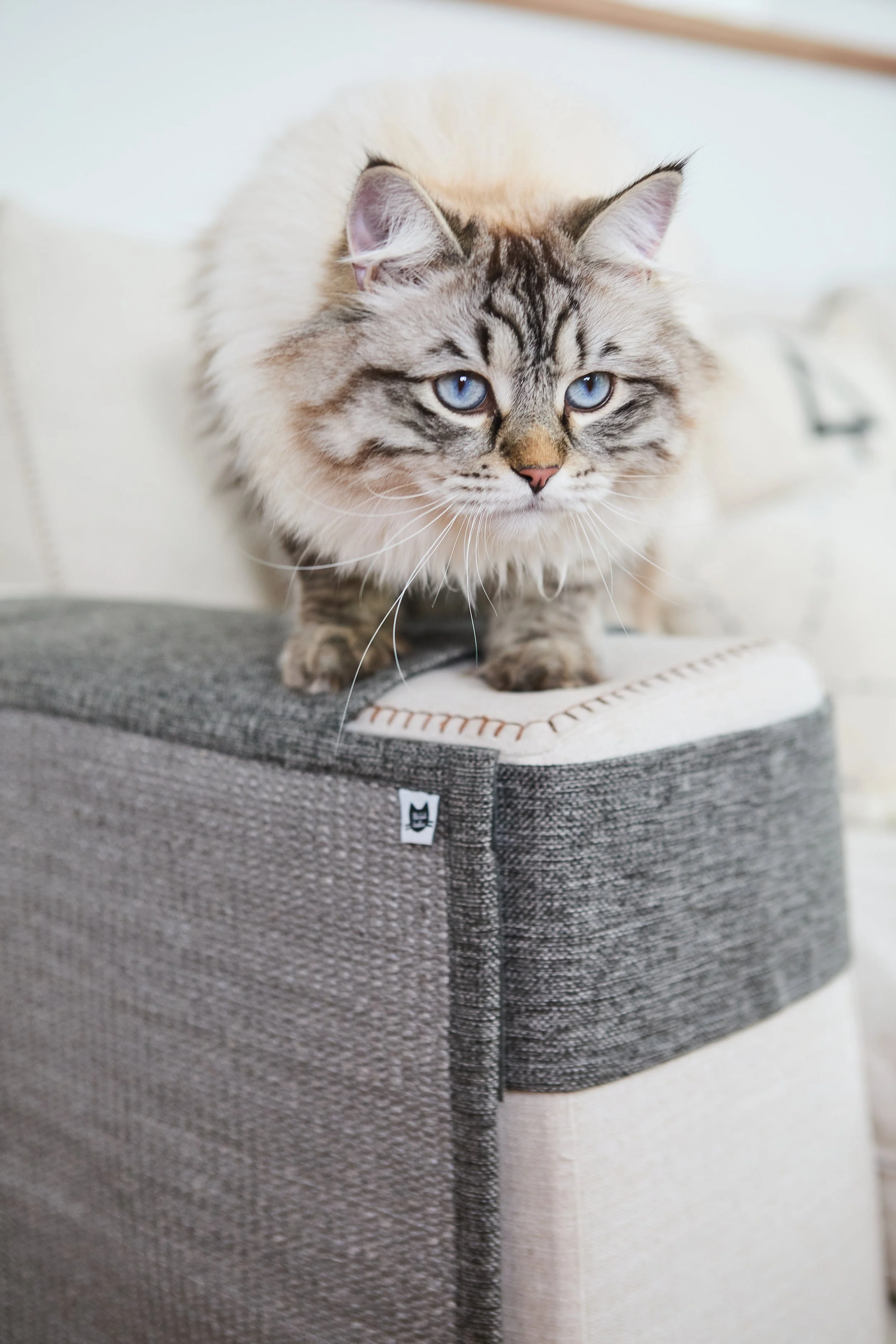 SellerX-09.12.25 172.jpg