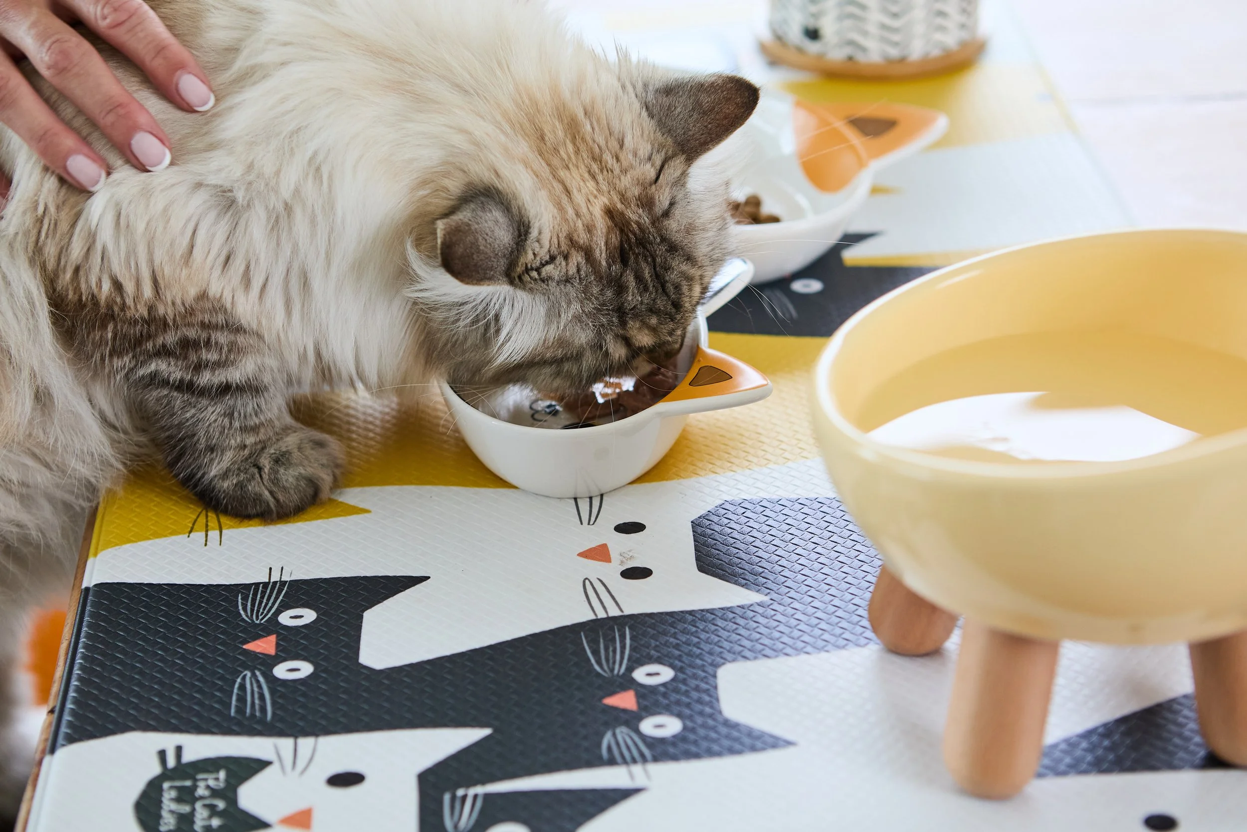 SellerX-09.12.25 210.jpg