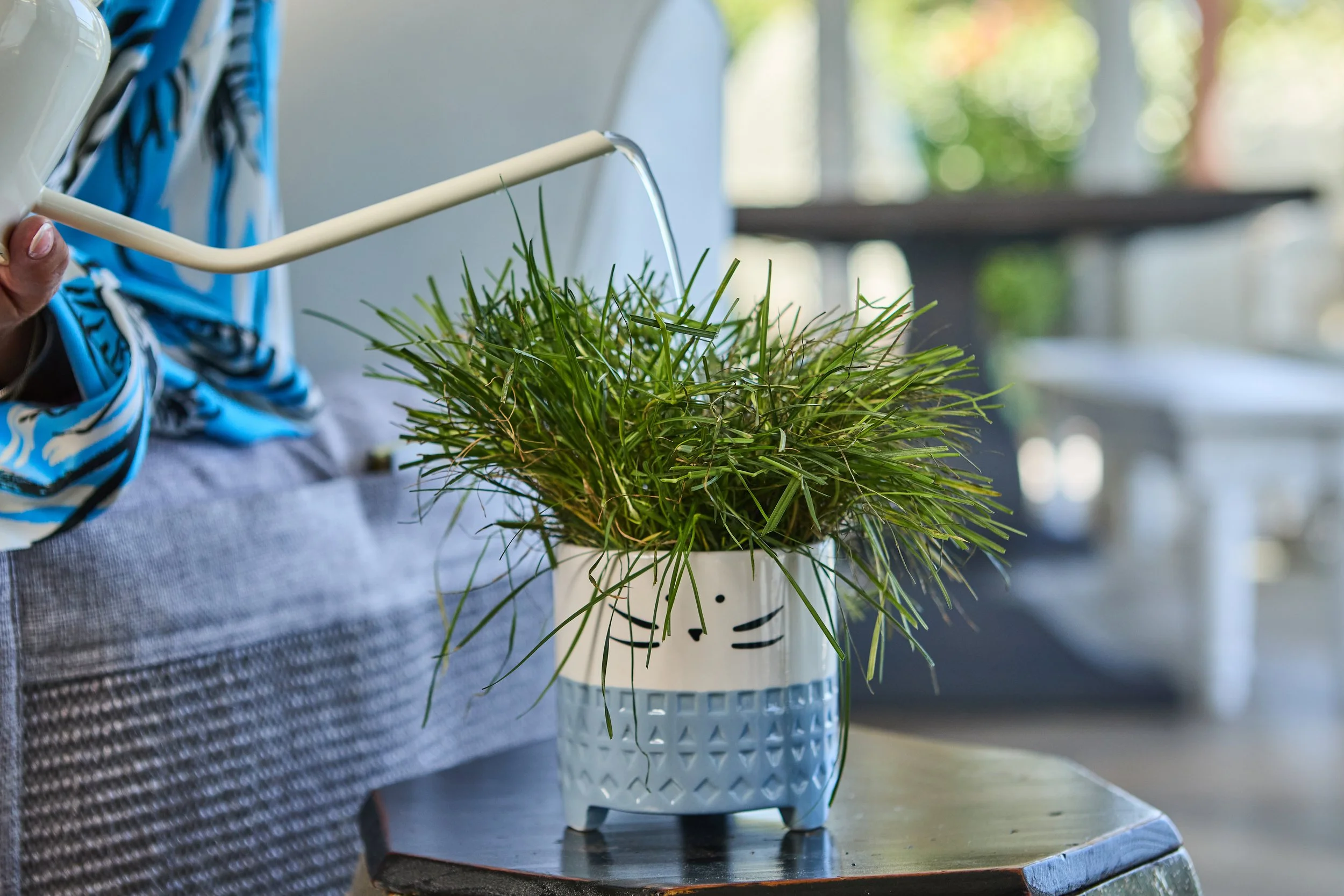 SellerX-08.12.25 289.jpg