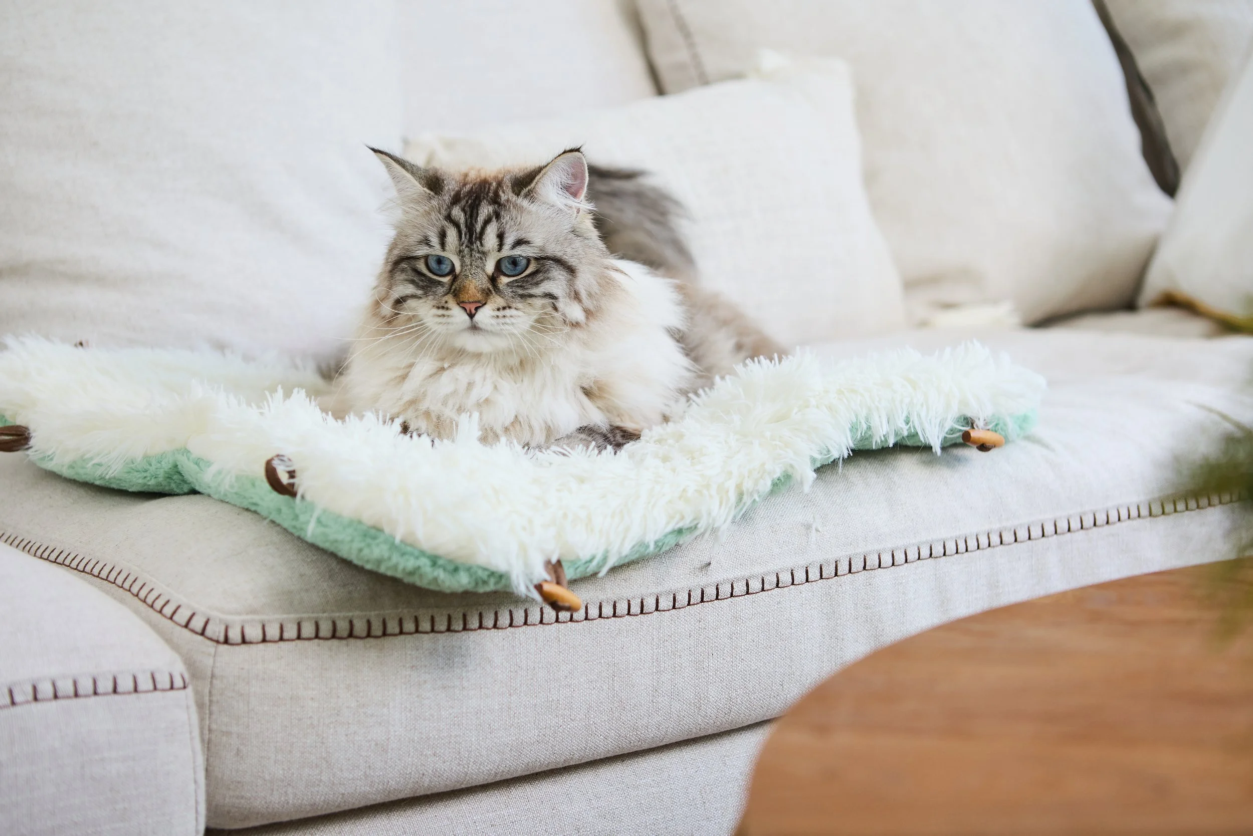 SellerX-09.12.25 314.jpg