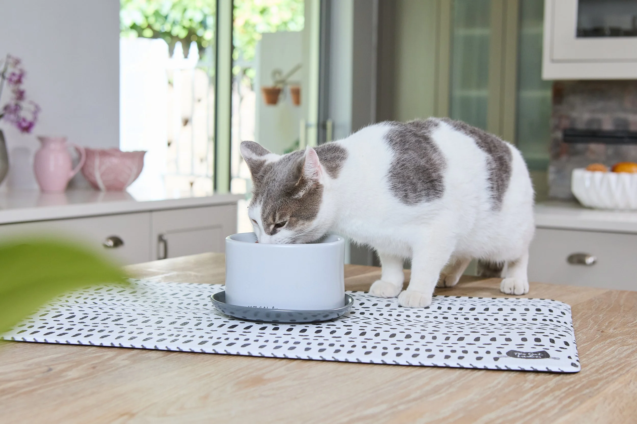 CatLadies_27.01.25 412.jpg