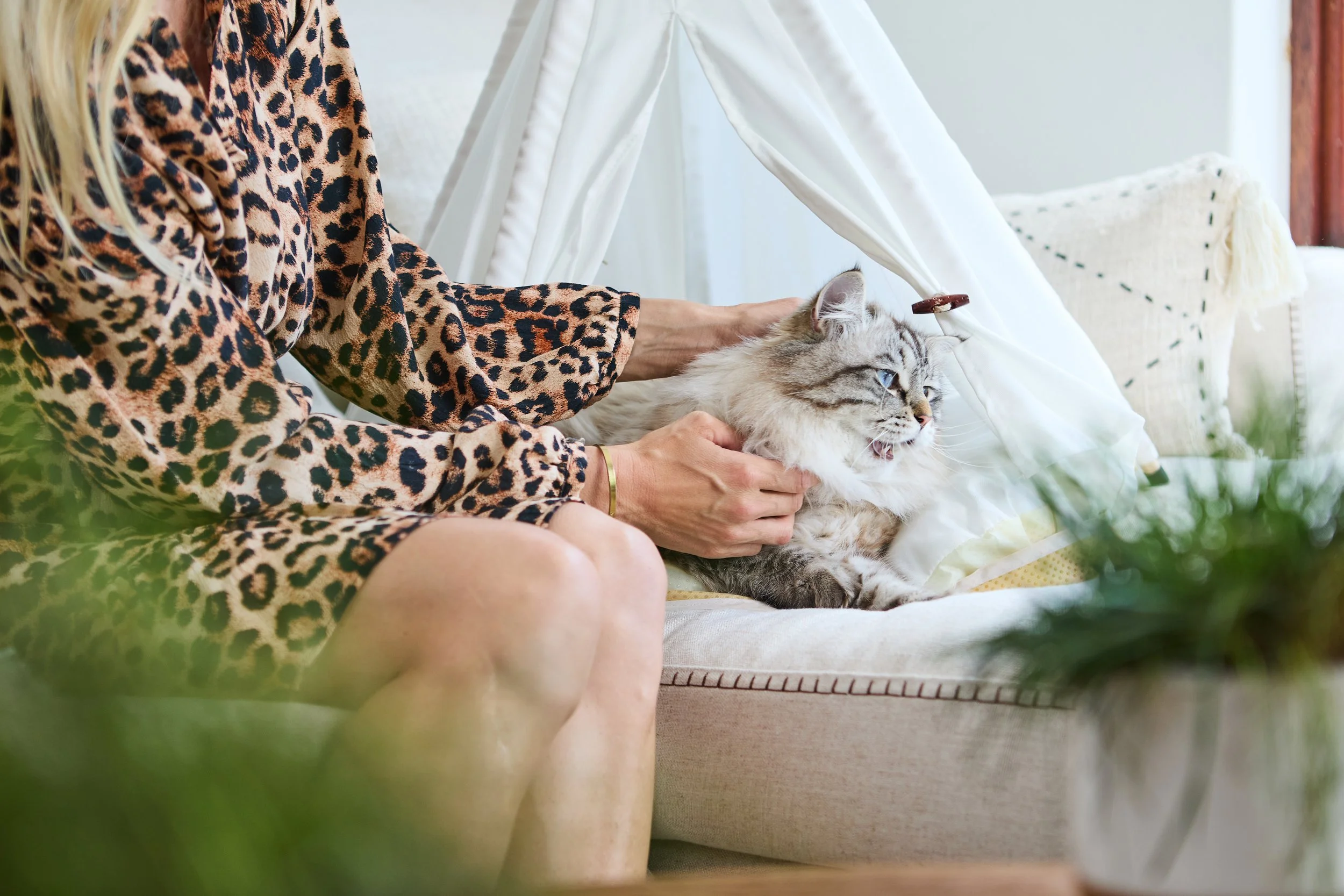 SellerX-09.12.25 303.jpg