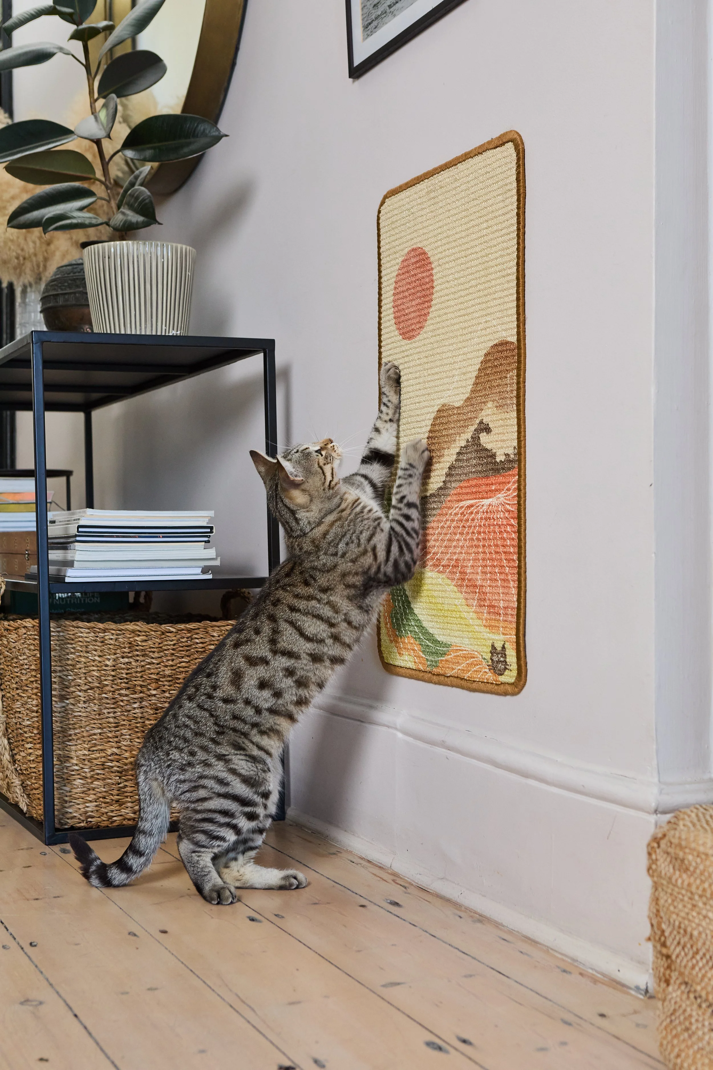 CatLadies_27.01.25 371.jpg