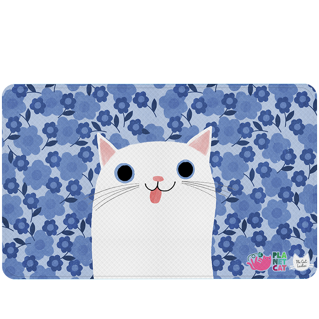 The Cat Ladies packaging concept