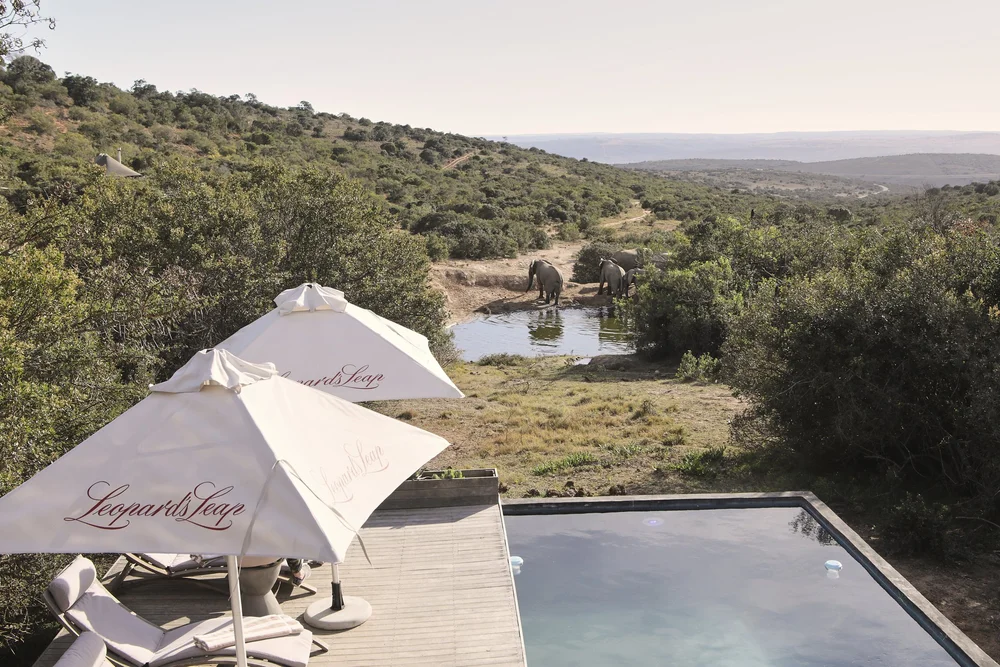 Bukela Game Lodge