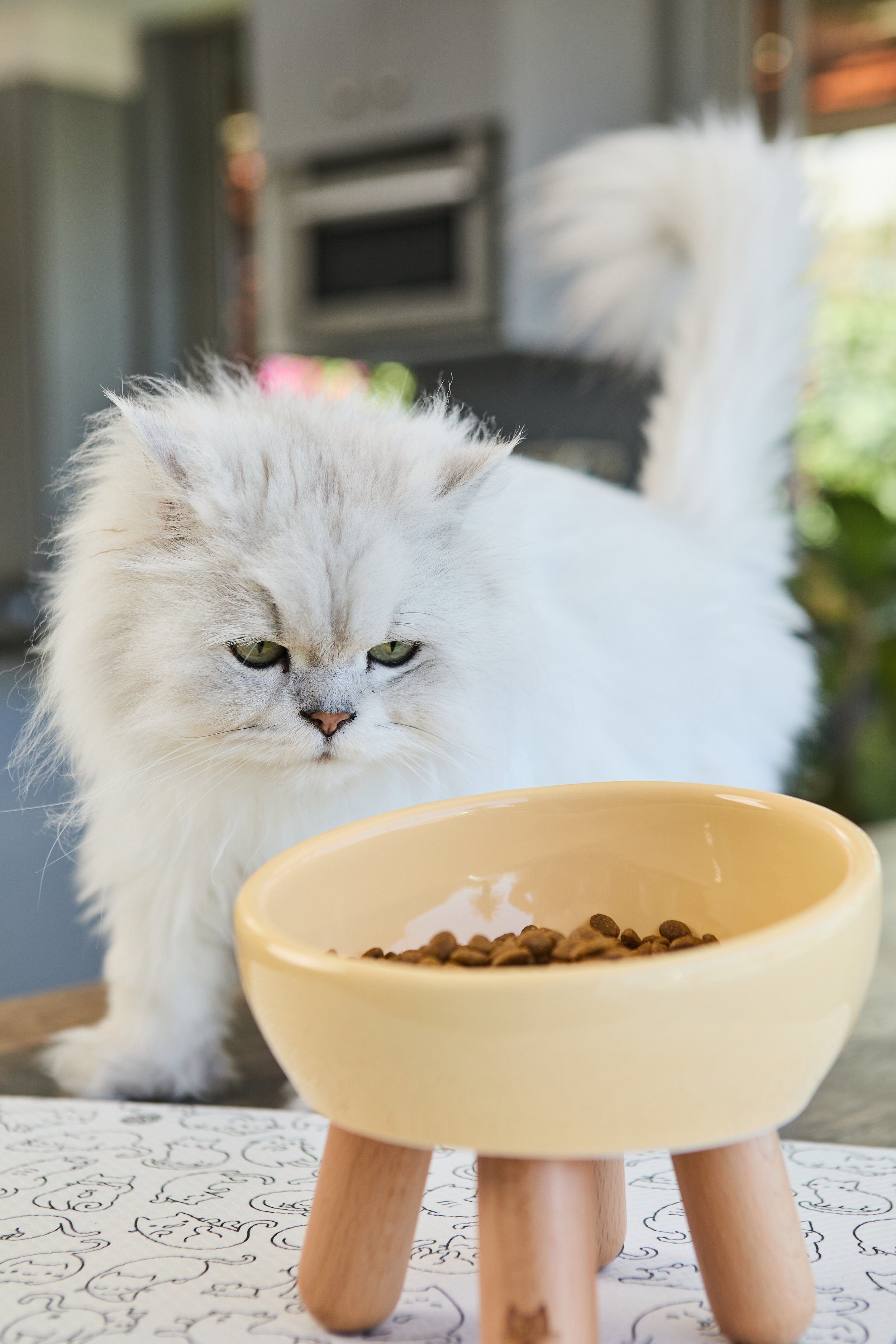 SellerX-08.12.25 42.jpg