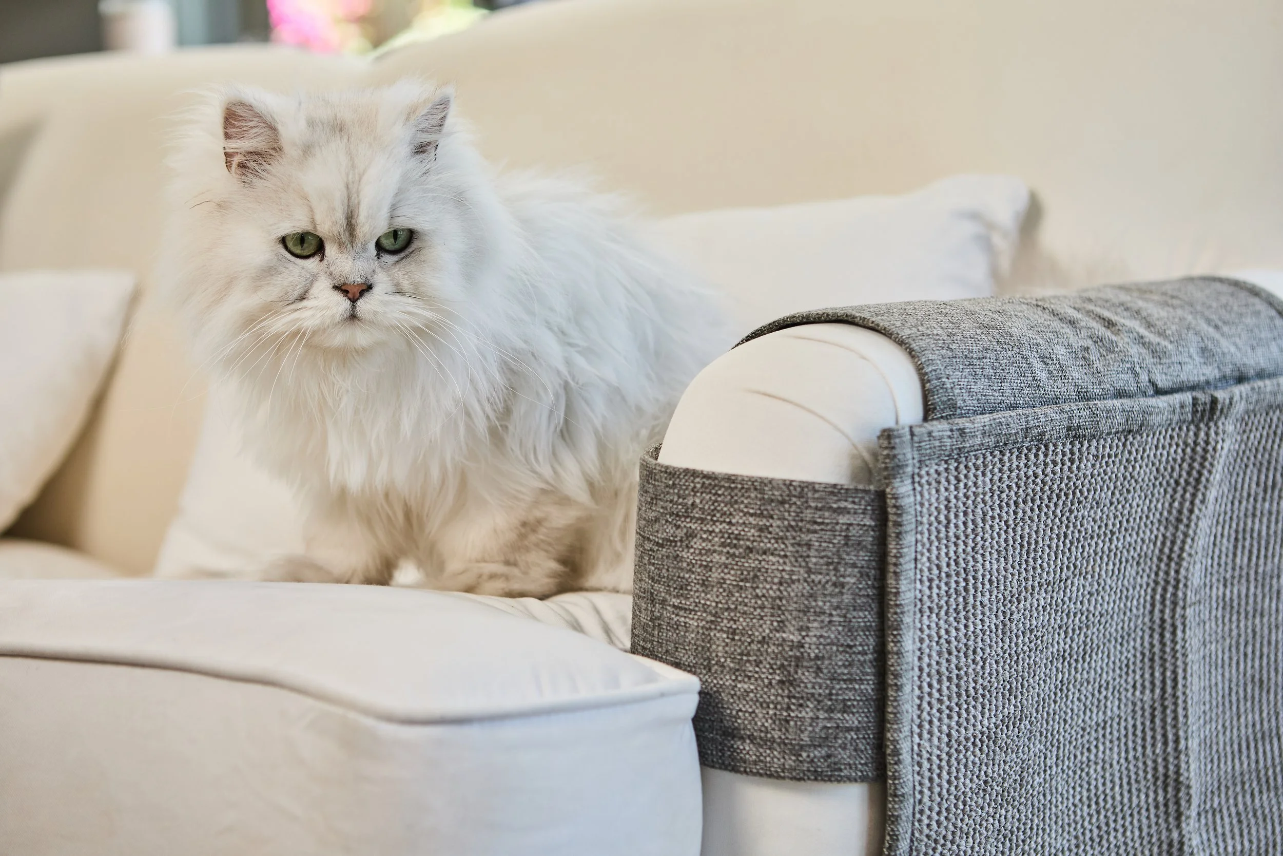 SellerX-08.12.25 226.jpg