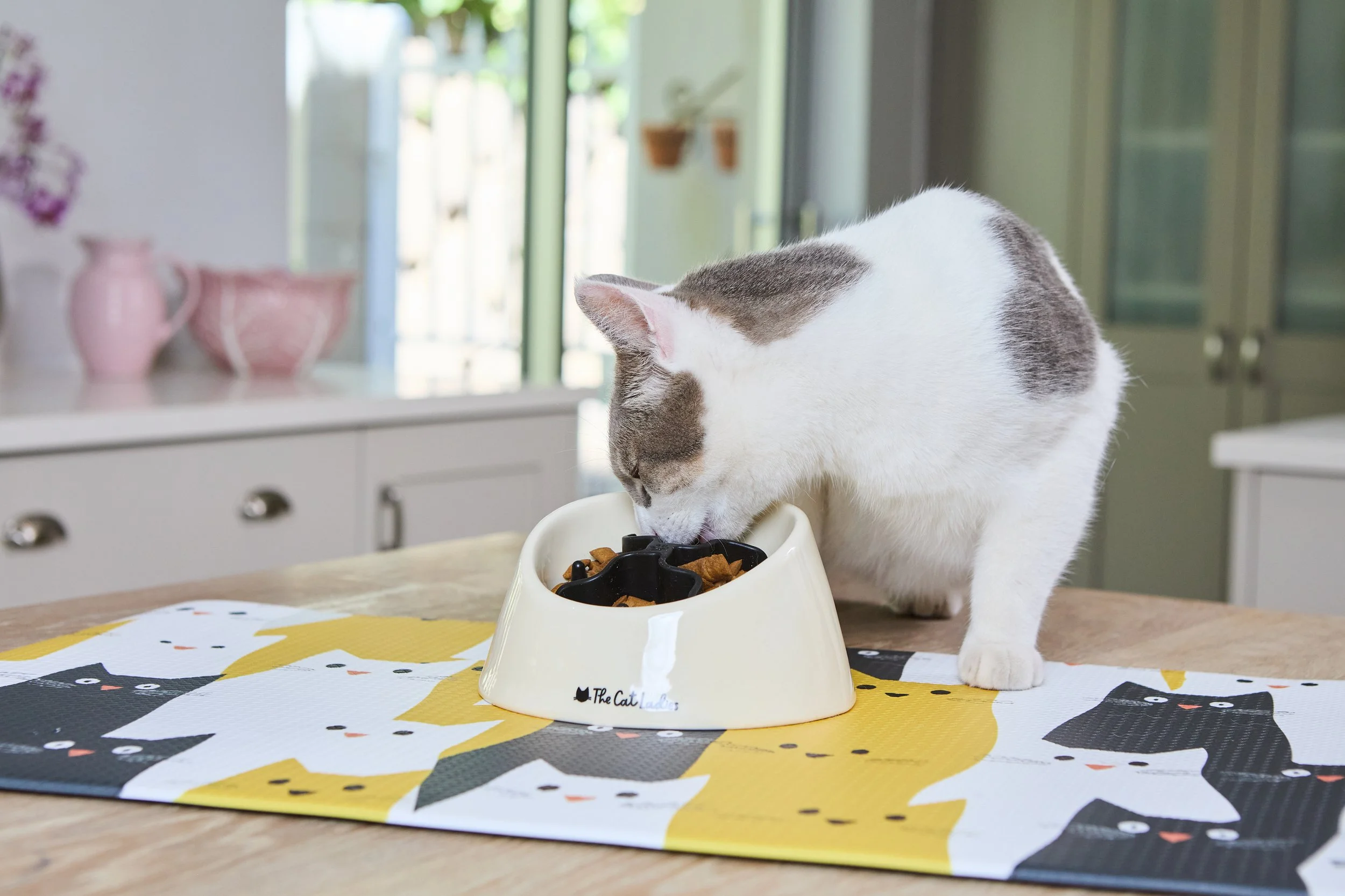 CatLadies_27.01.25 477.jpg