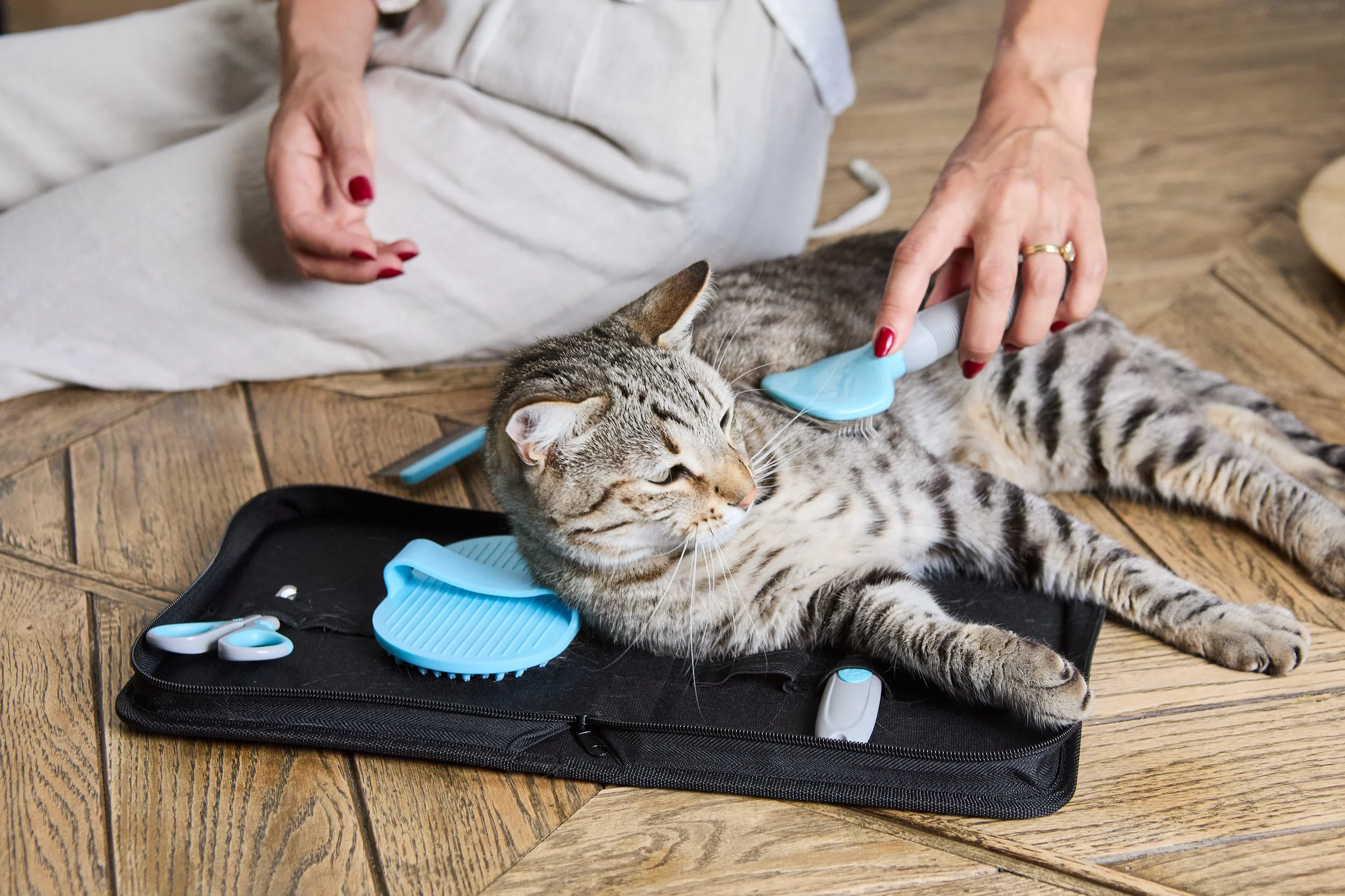 CatLadies_27.01.25 310.jpg