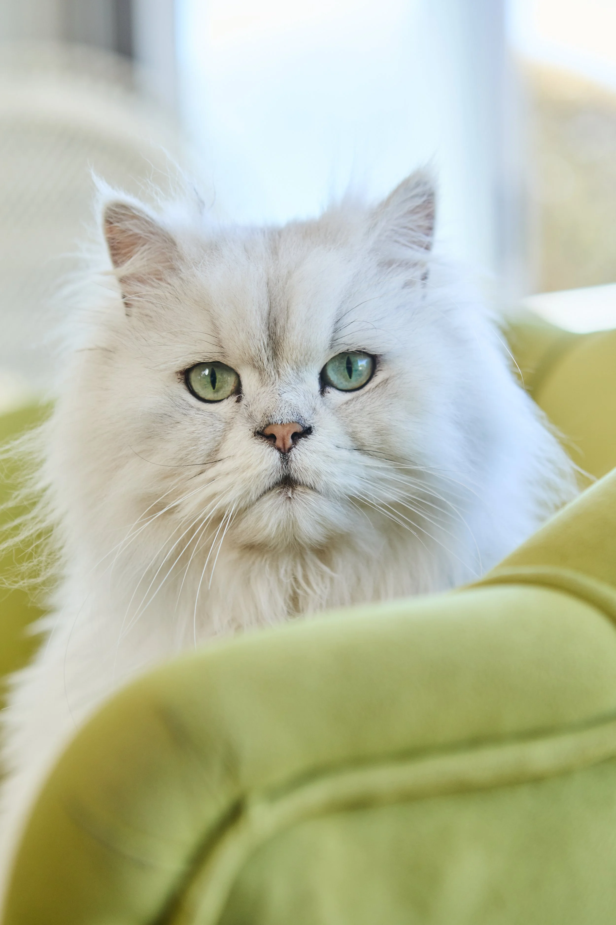 SellerX-08.12.25 461.jpg